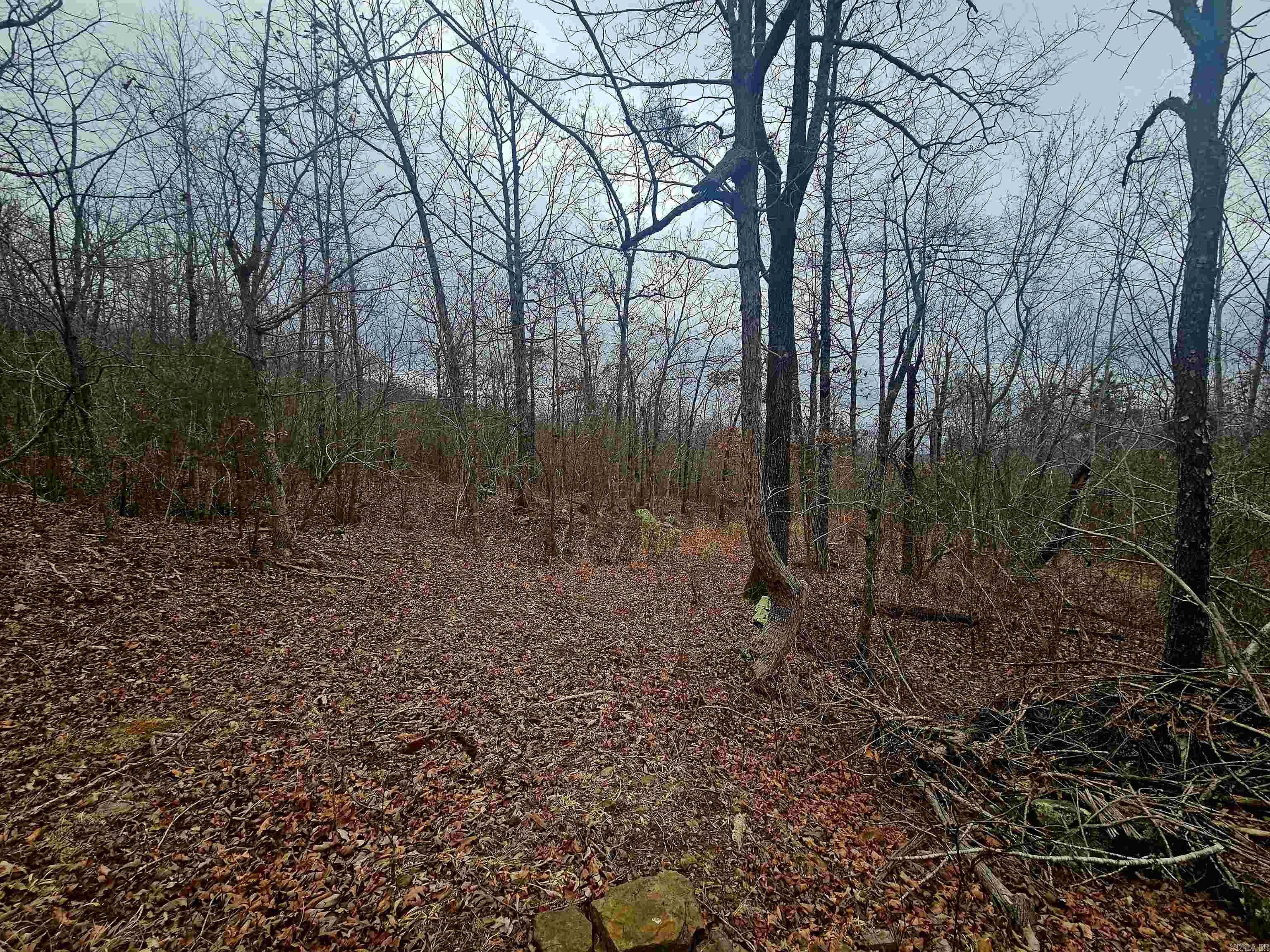 2726 Little Red River Road Property Photo 8