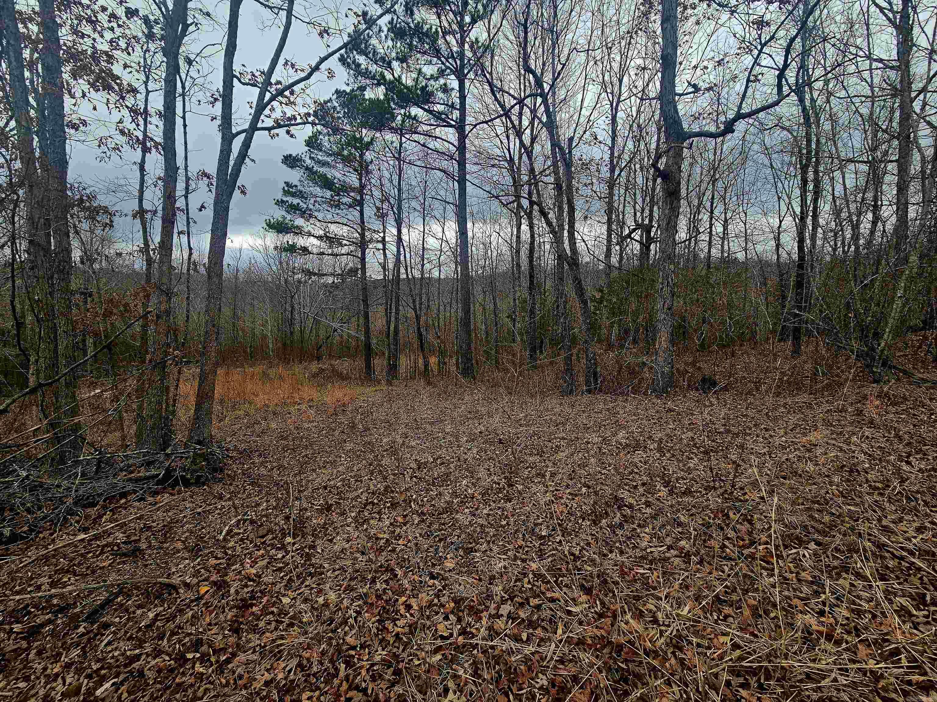 2726 Little Red River Road Property Photo 9
