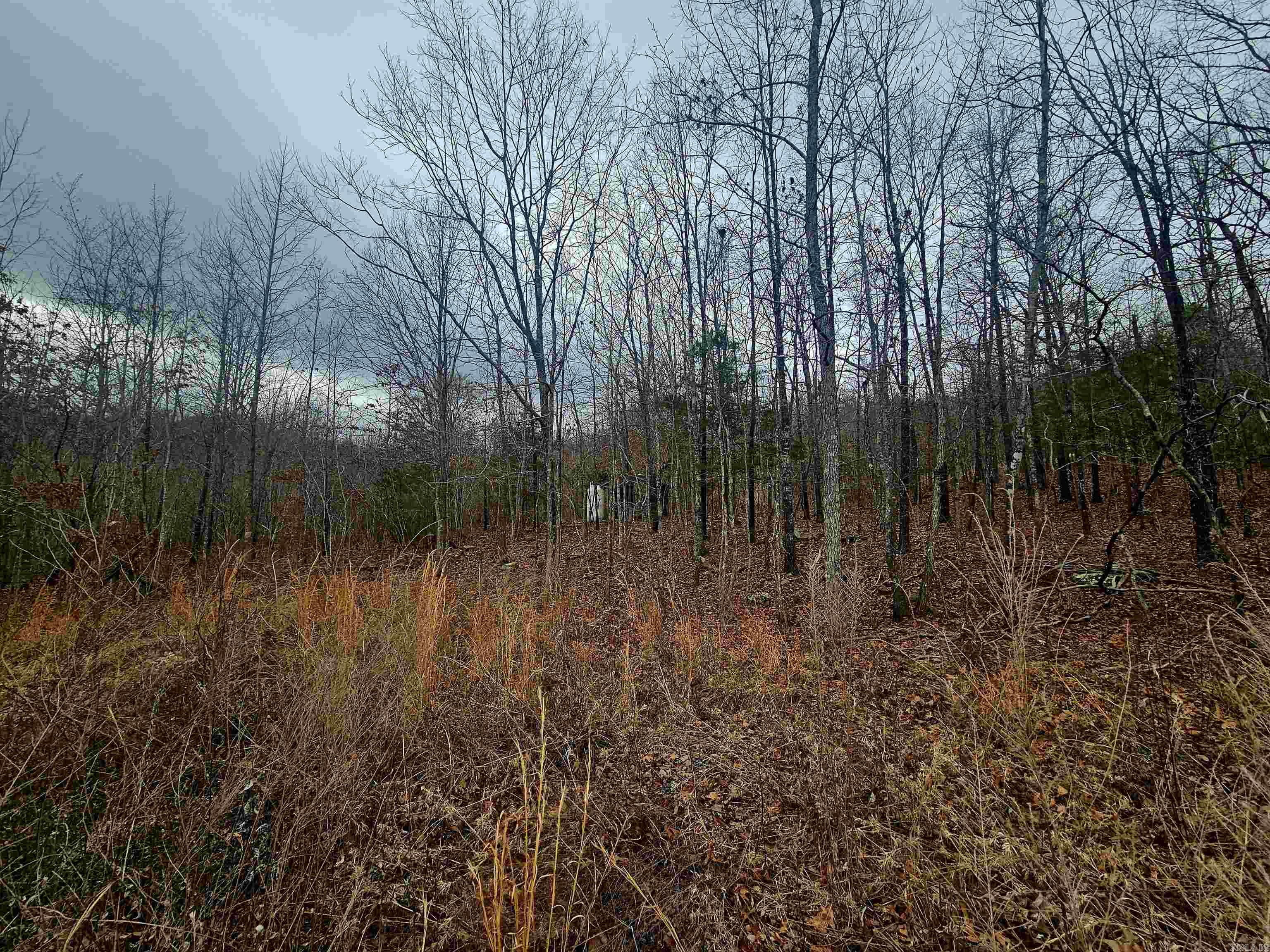 2726 Little Red River Road Property Photo 10