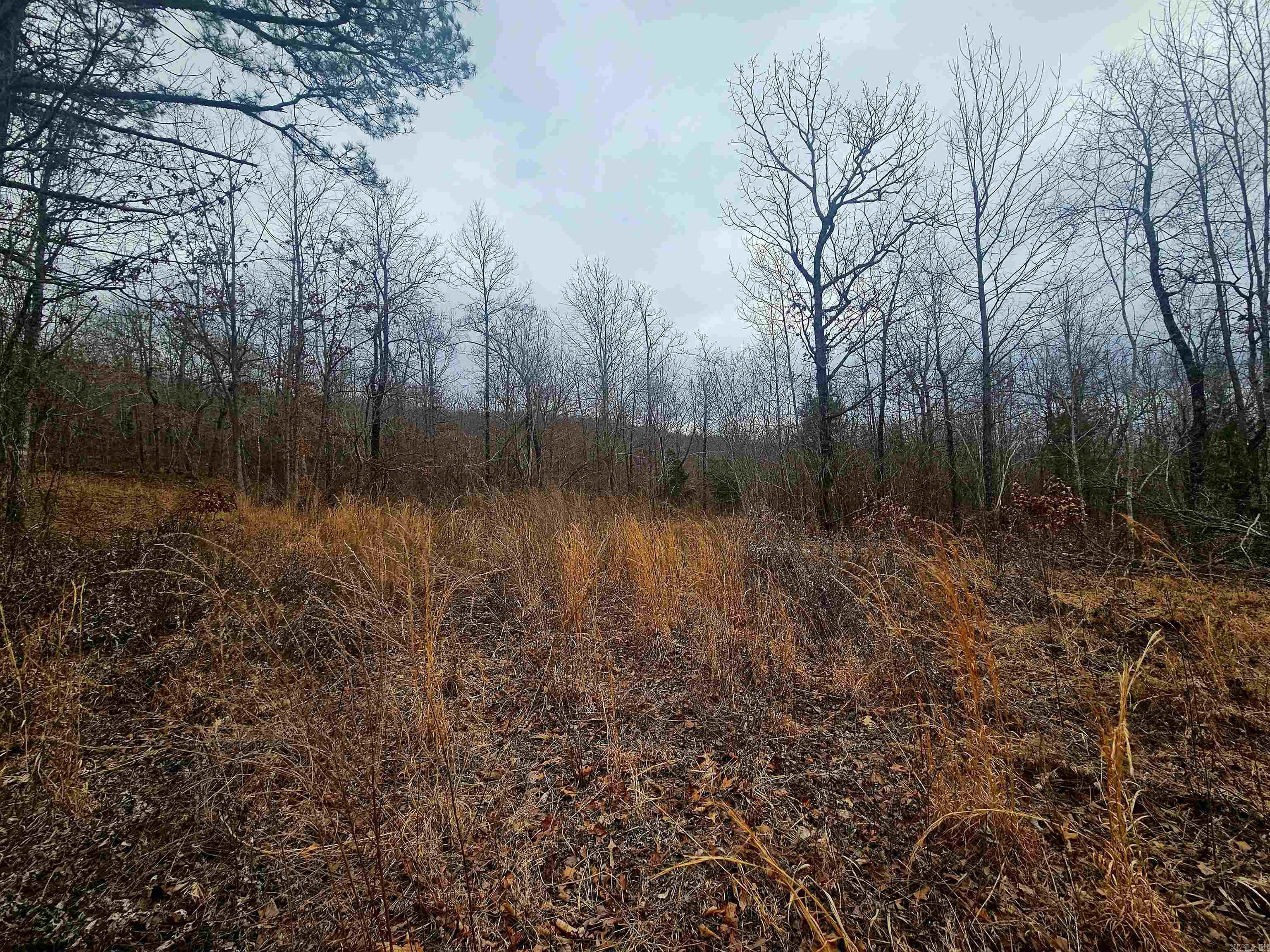 2726 Little Red River Road Property Photo 11