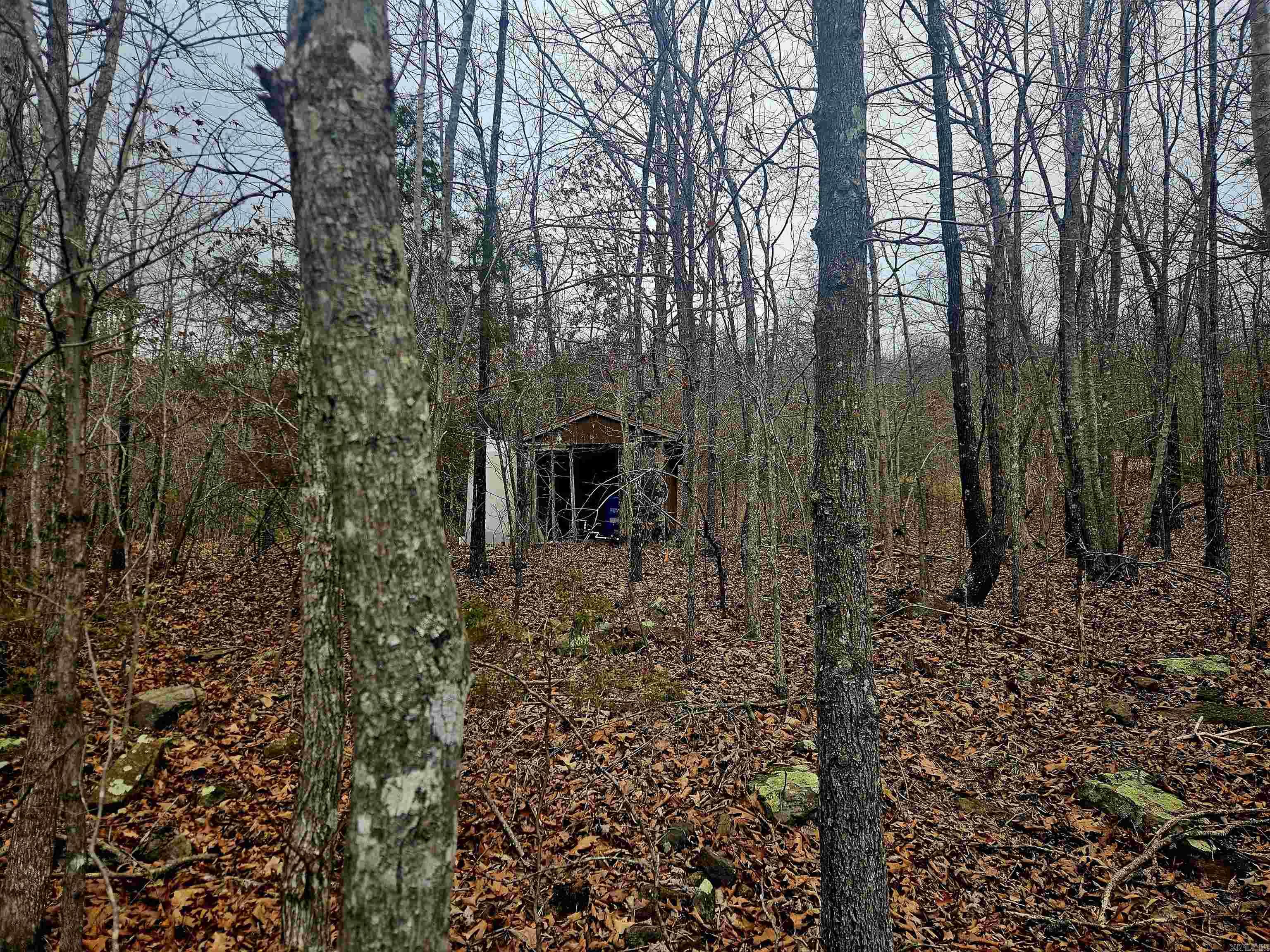 2726 Little Red River Road Property Photo 12
