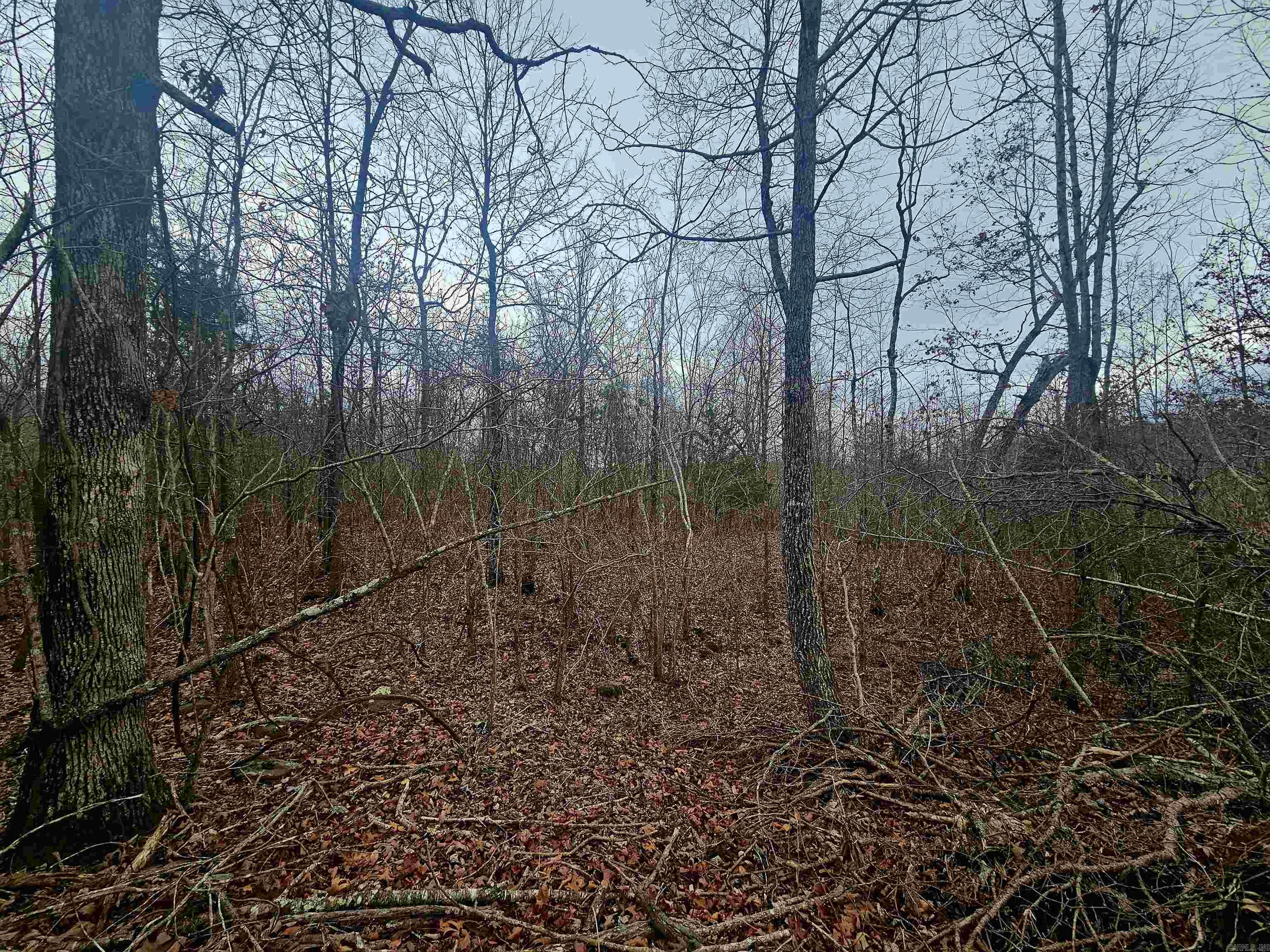 2726 Little Red River Road Property Photo 14