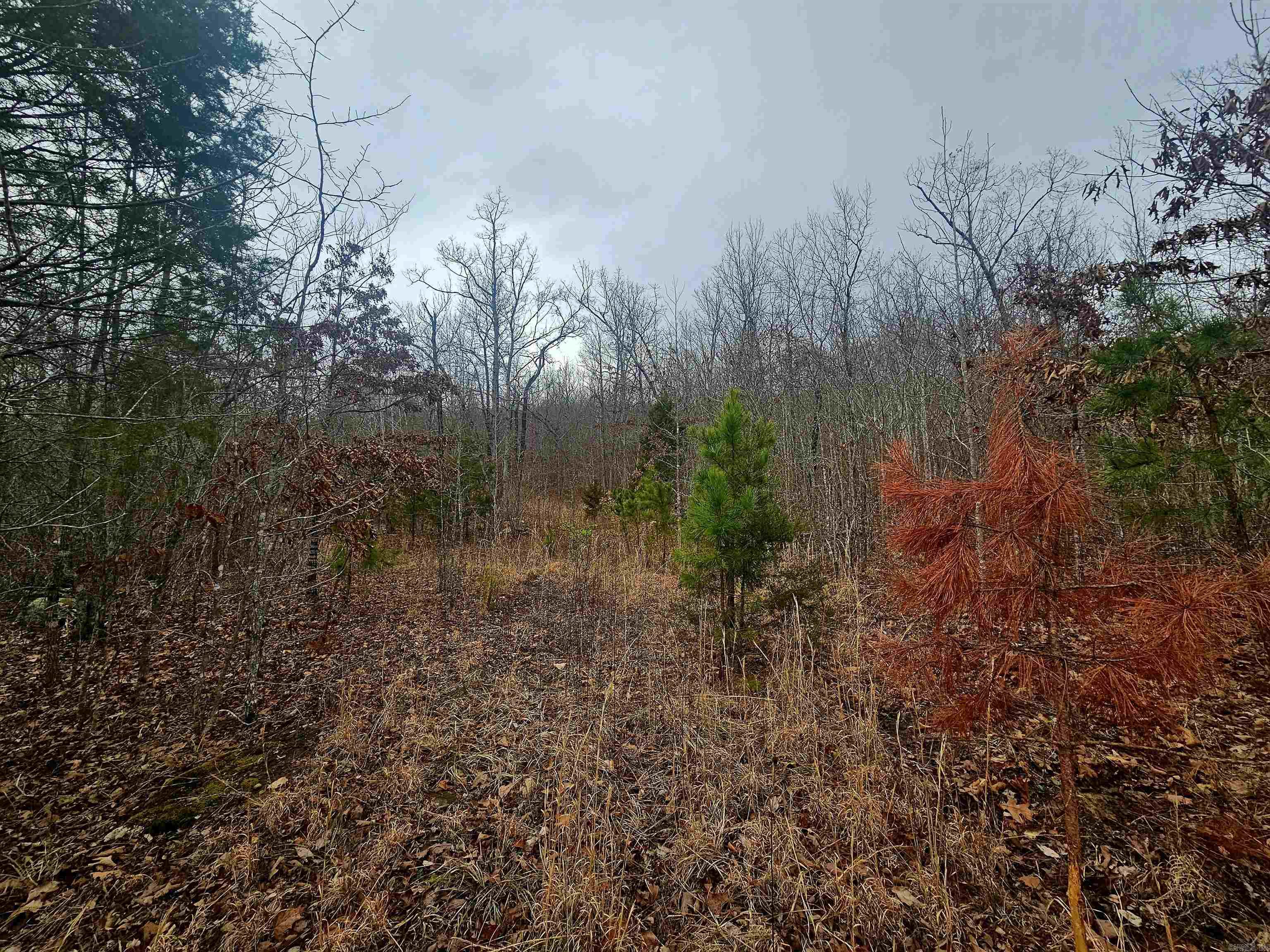 2726 Little Red River Road Property Photo 15