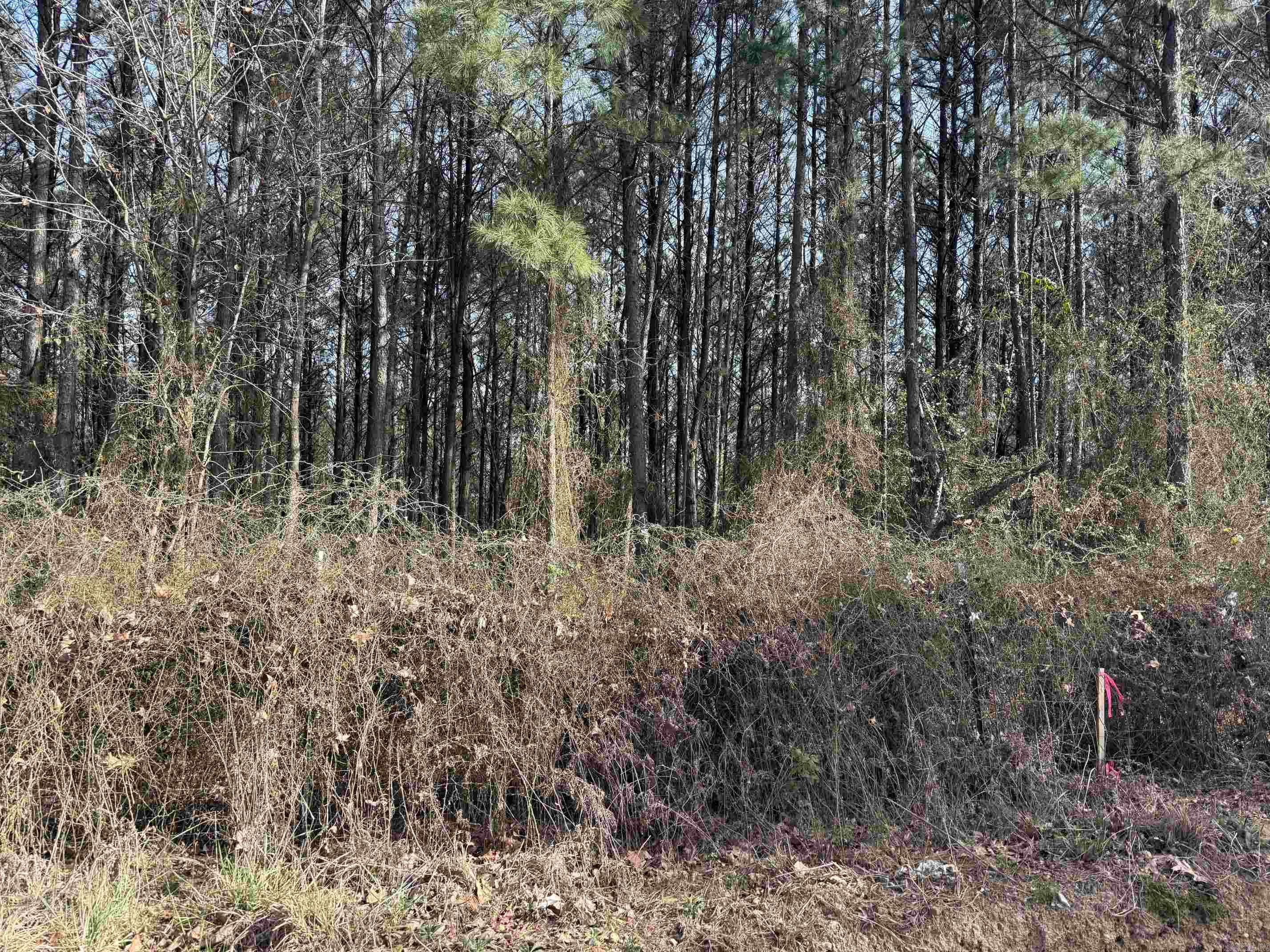 TBD Polk Road 13 Property Photo 1