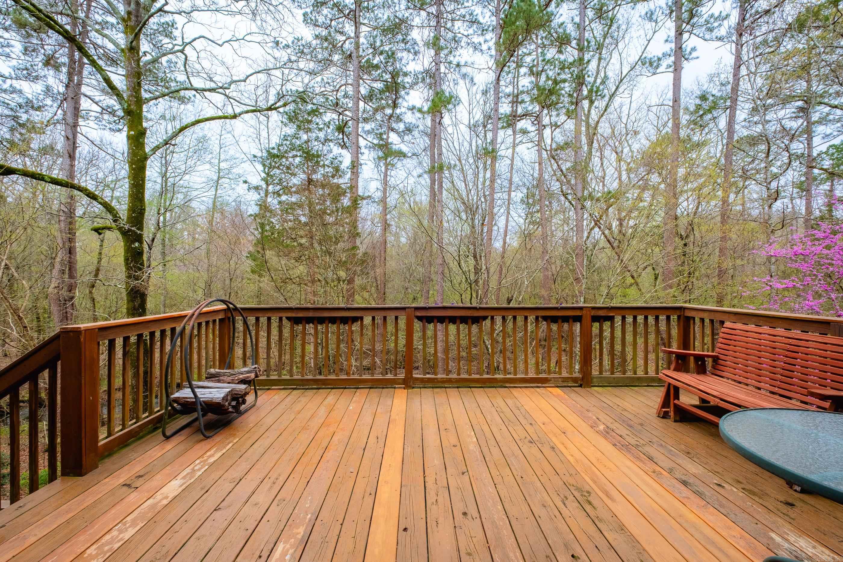 12725 Meadows Edge Property Photo 41