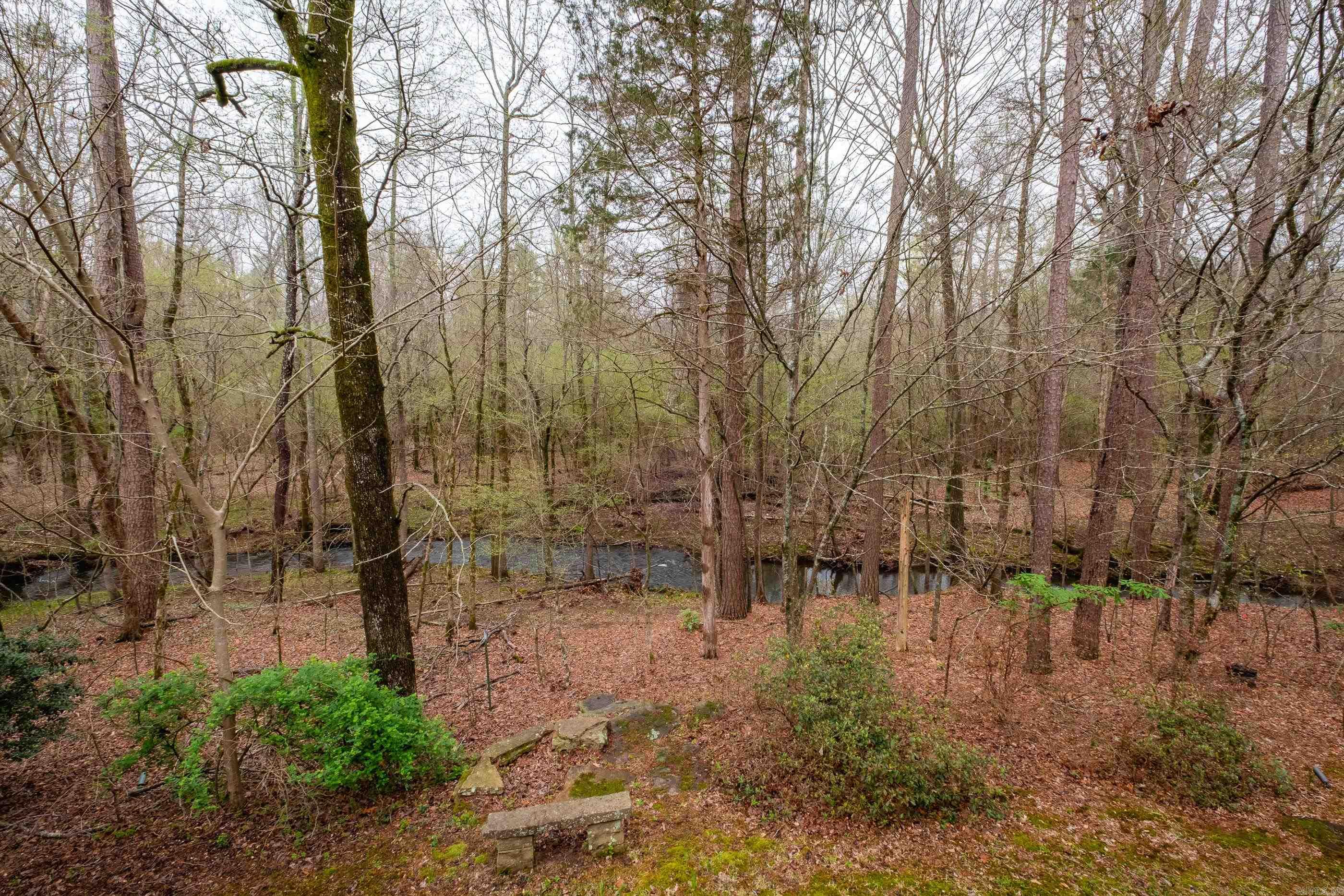 12725 Meadows Edge Property Photo 43