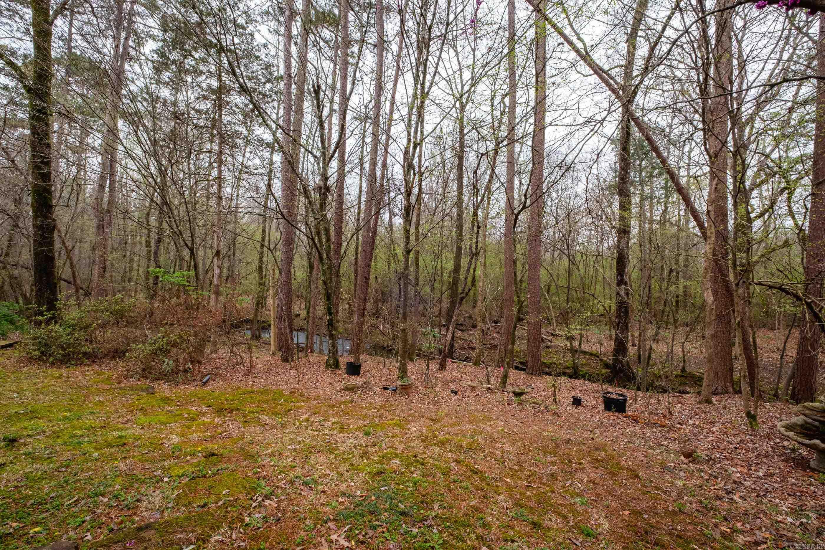 12725 Meadows Edge Property Photo 46