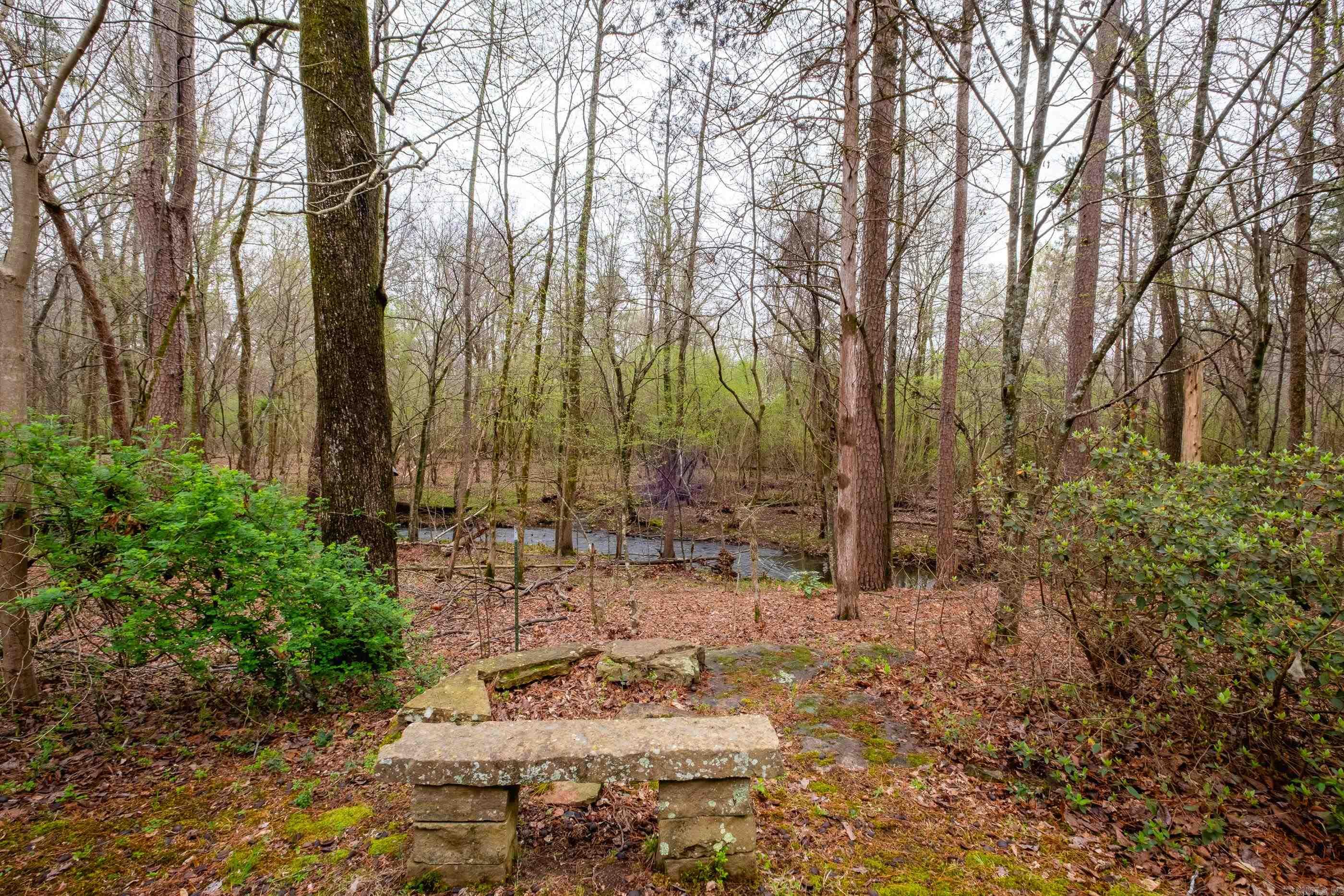 12725 Meadows Edge Property Photo 47