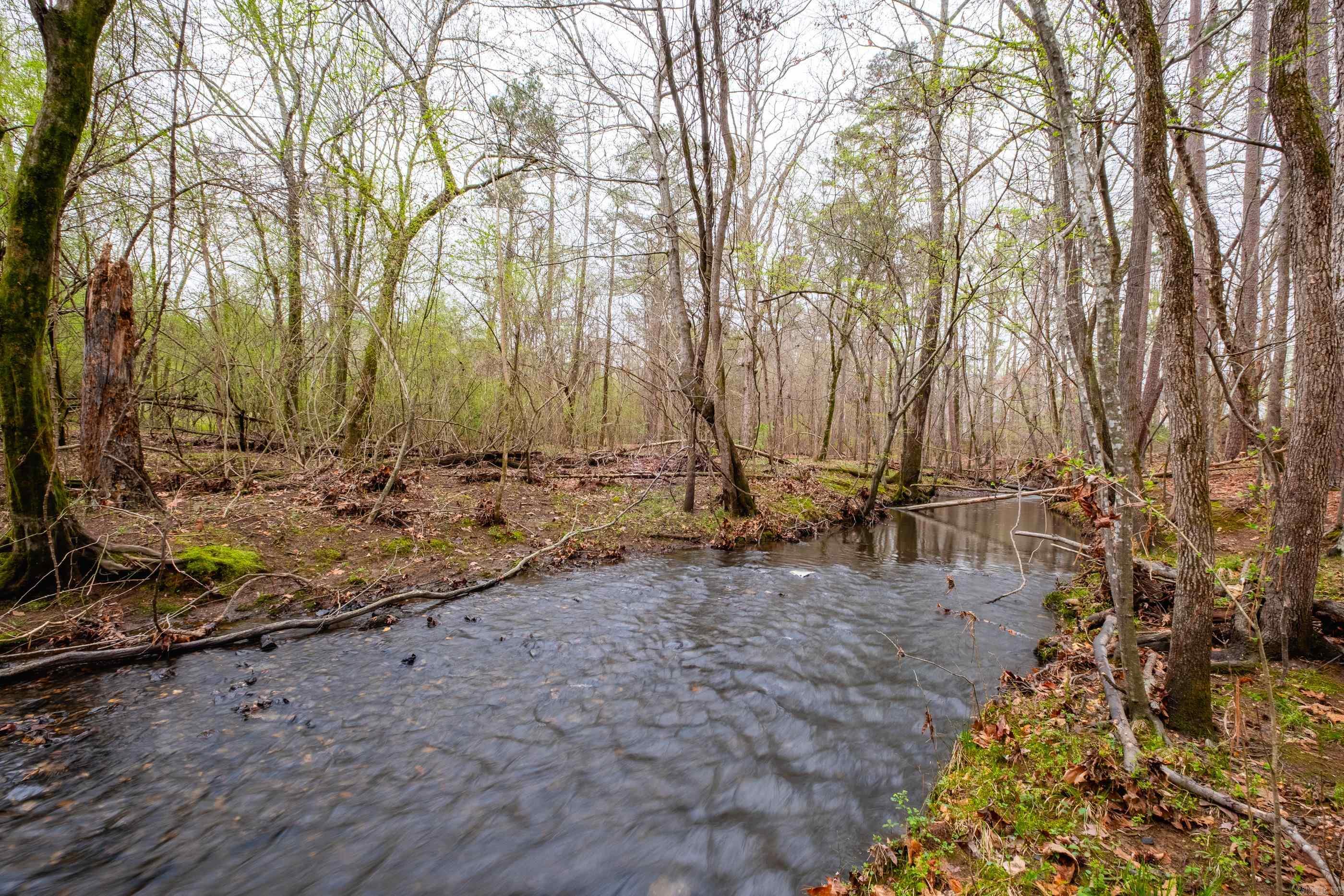 12725 Meadows Edge Property Photo 48