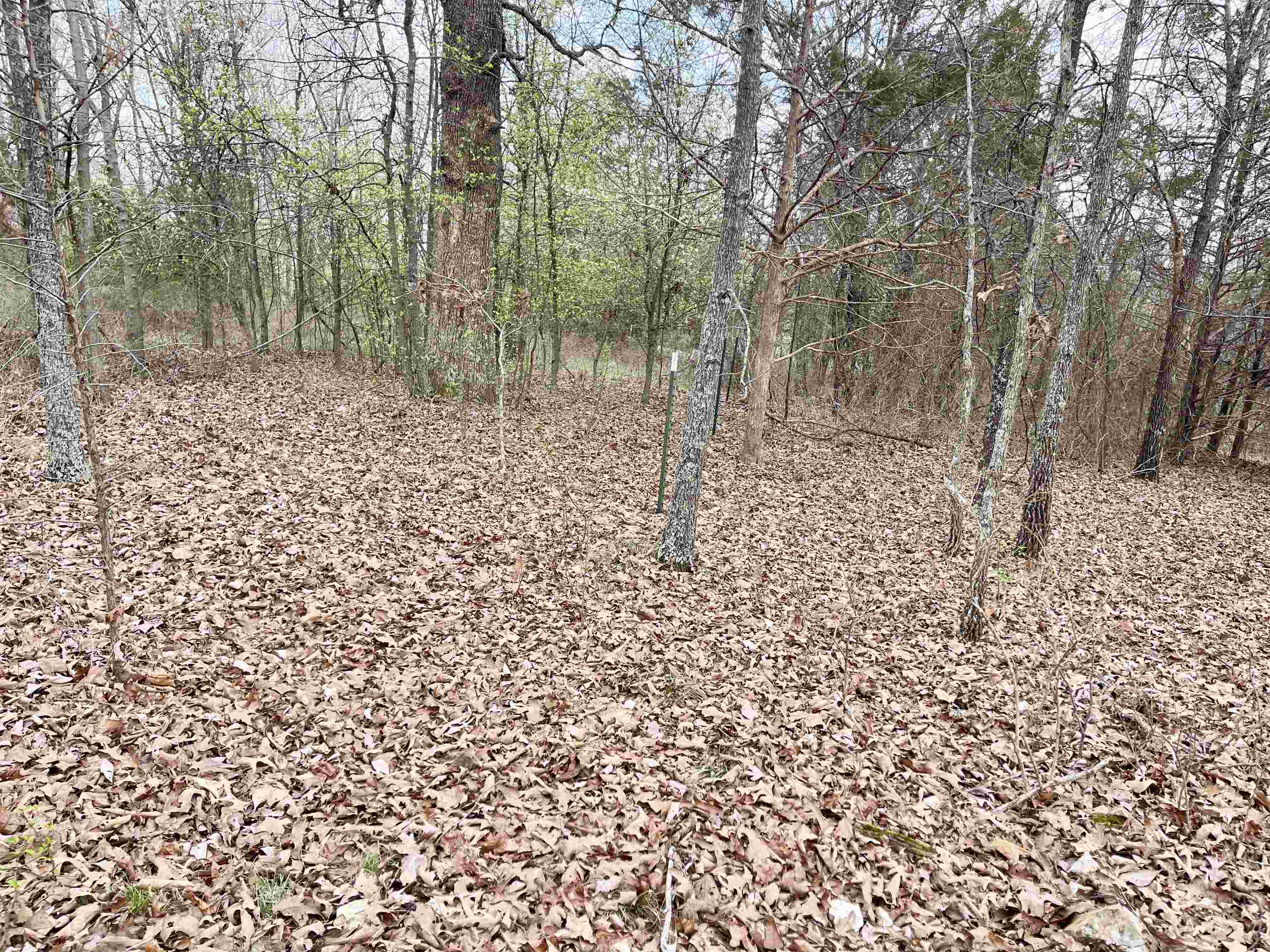 0 62/412 Highway Property Photo 1