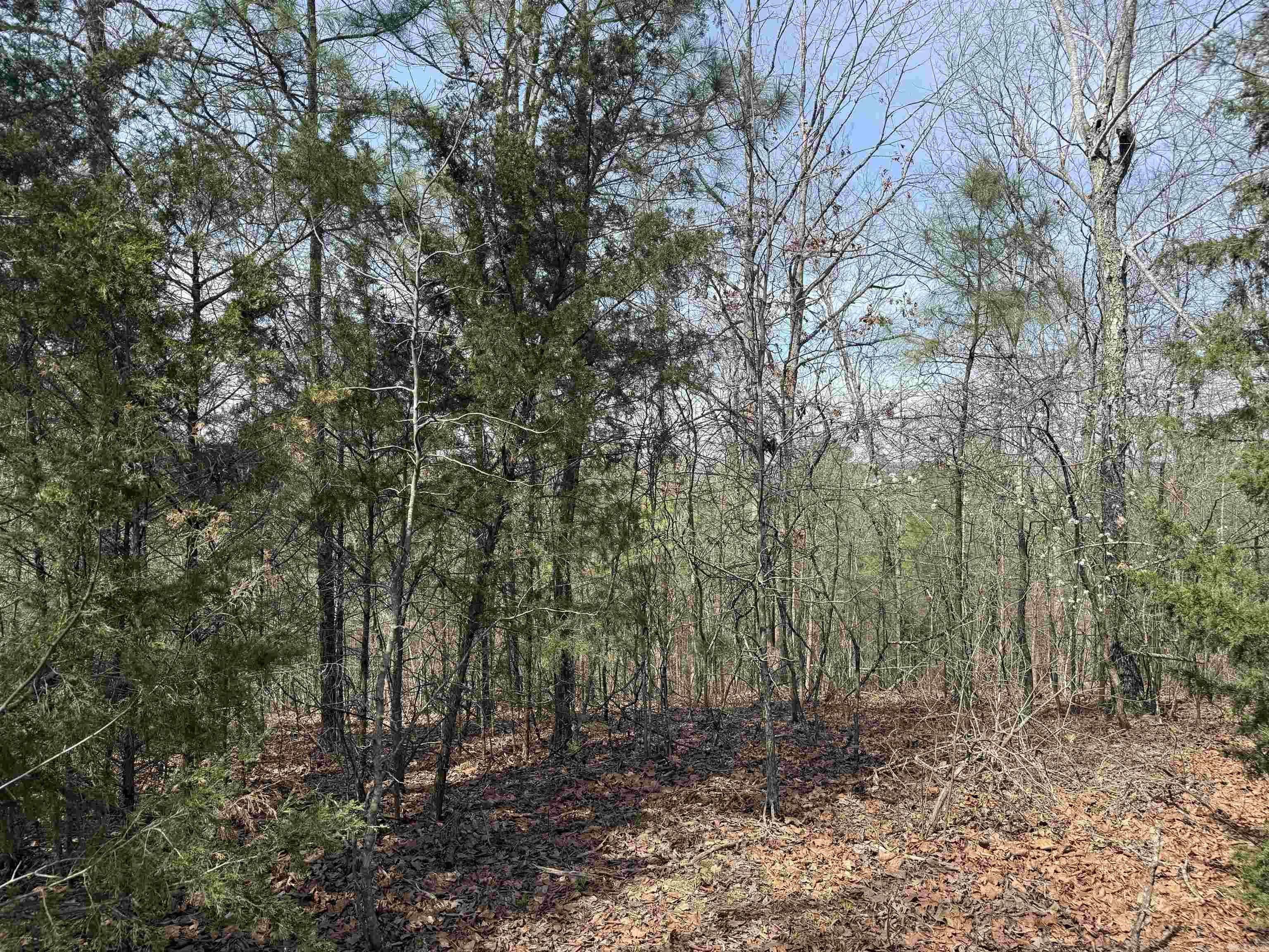 Lot 49 Mustang Drive Property Photo 1