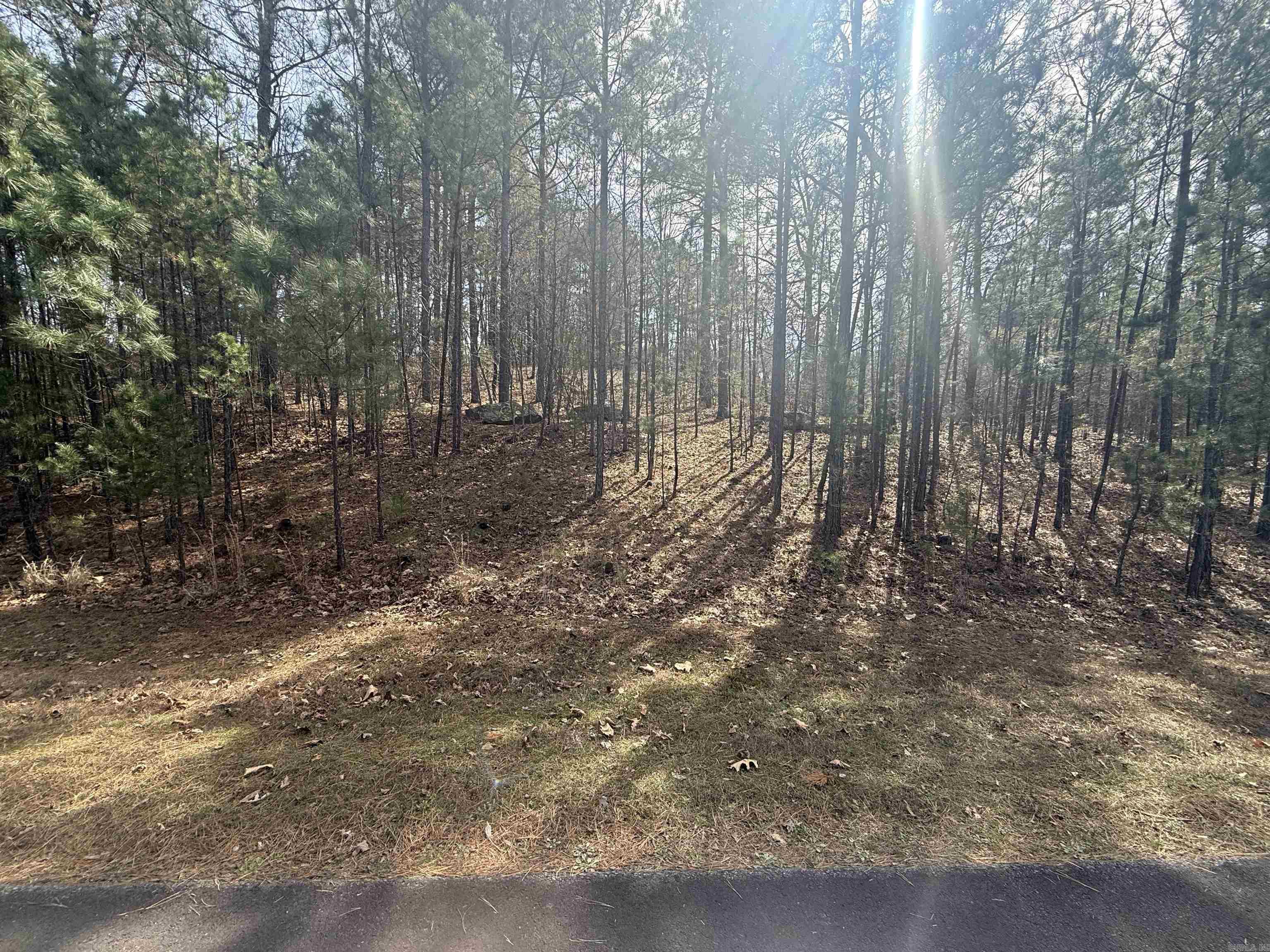 Lot 49 Mustang Drive Property Photo 2