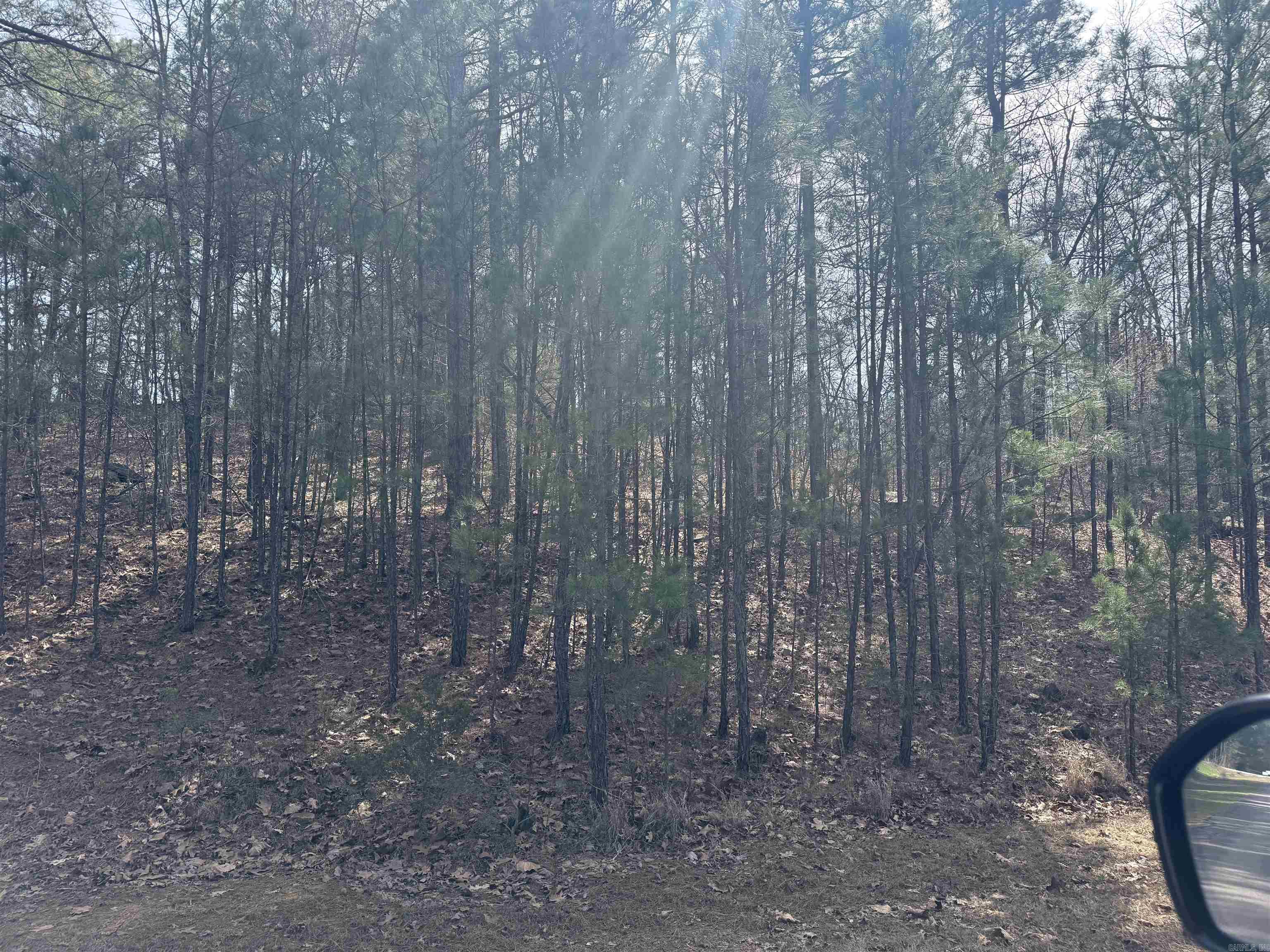 Lot 49 Mustang Drive Property Photo 4