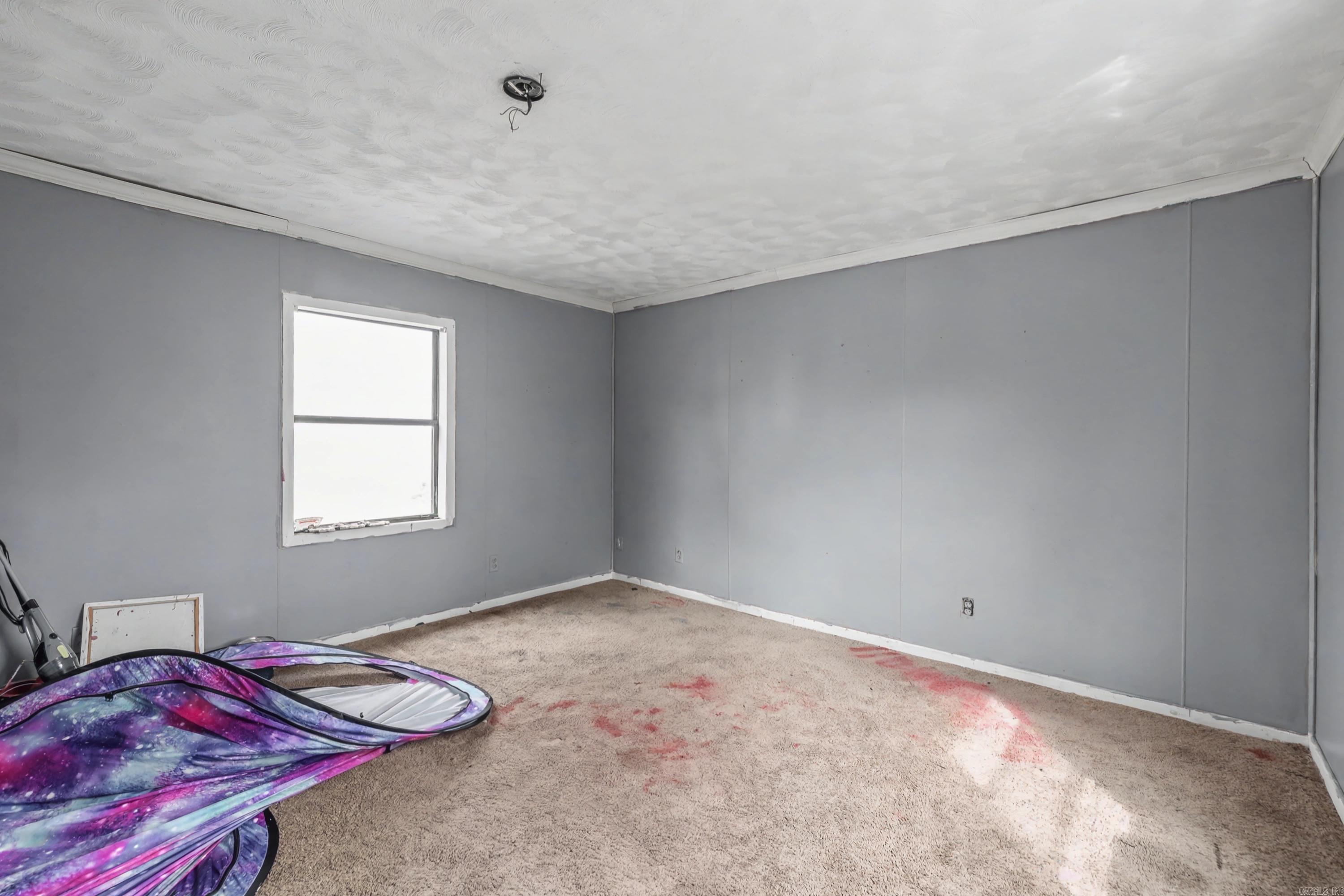 358 County Road 441 Property Photo 4
