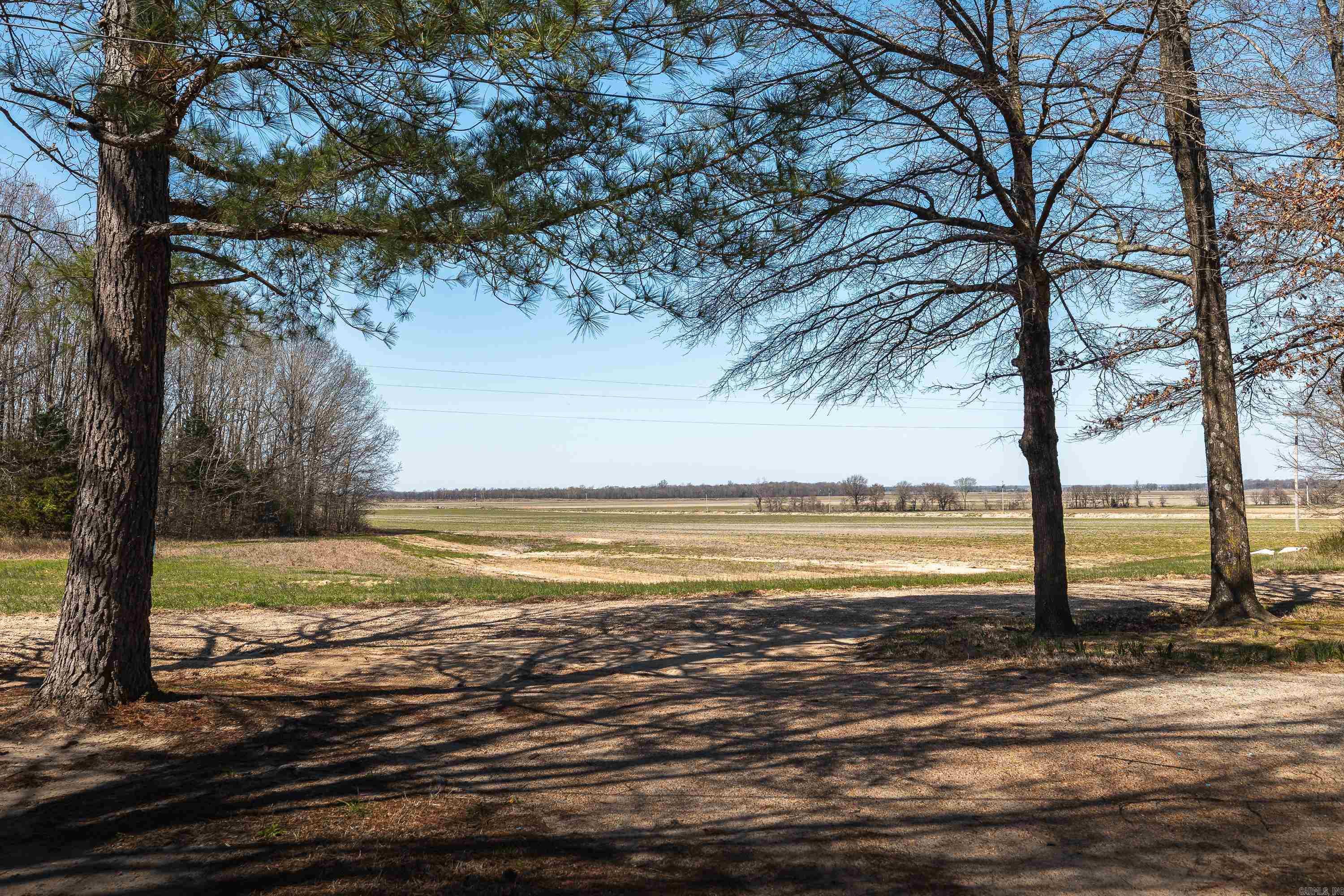 358 County Road 441 Property Photo 20