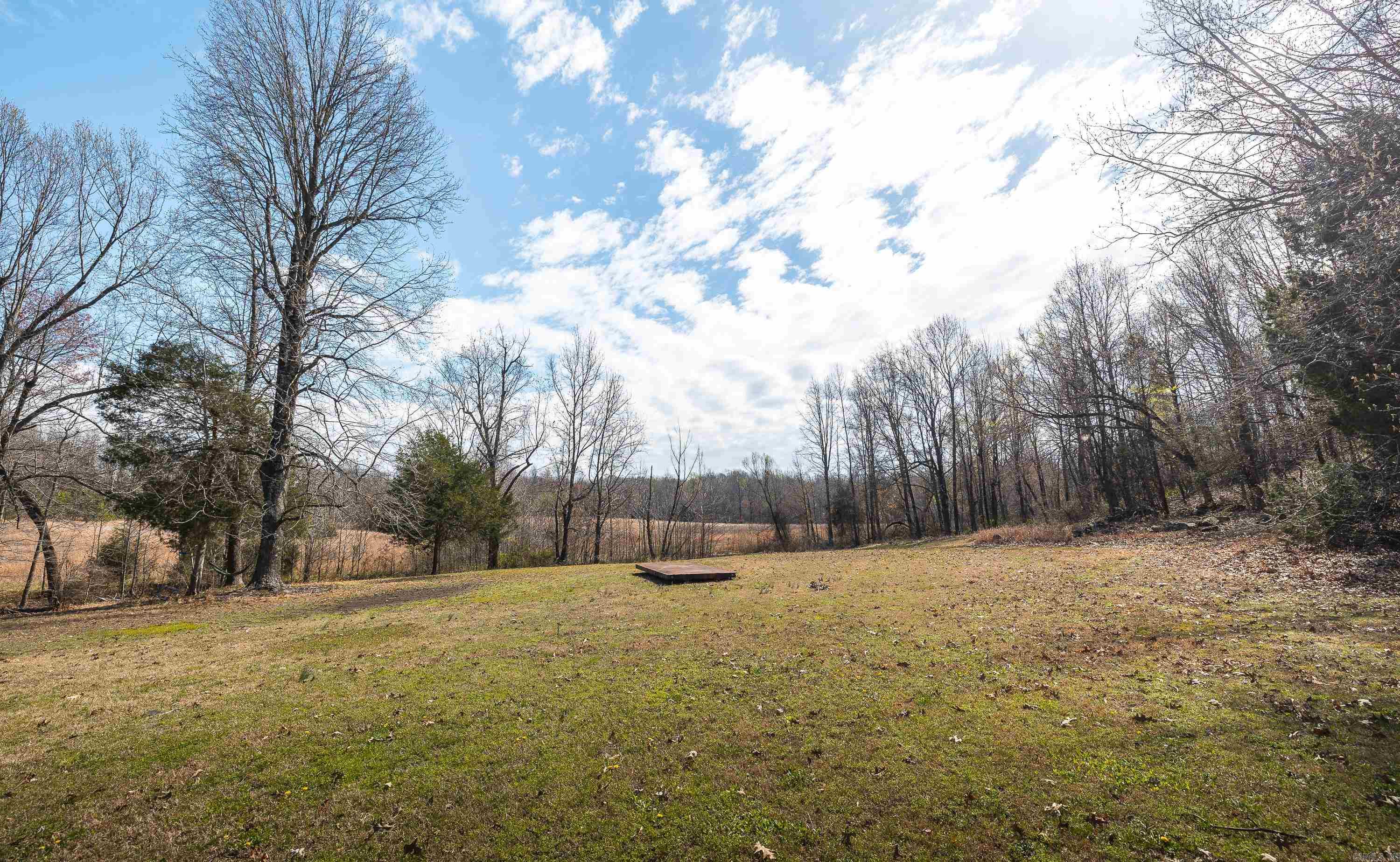 358 County Road 441 Property Photo 24