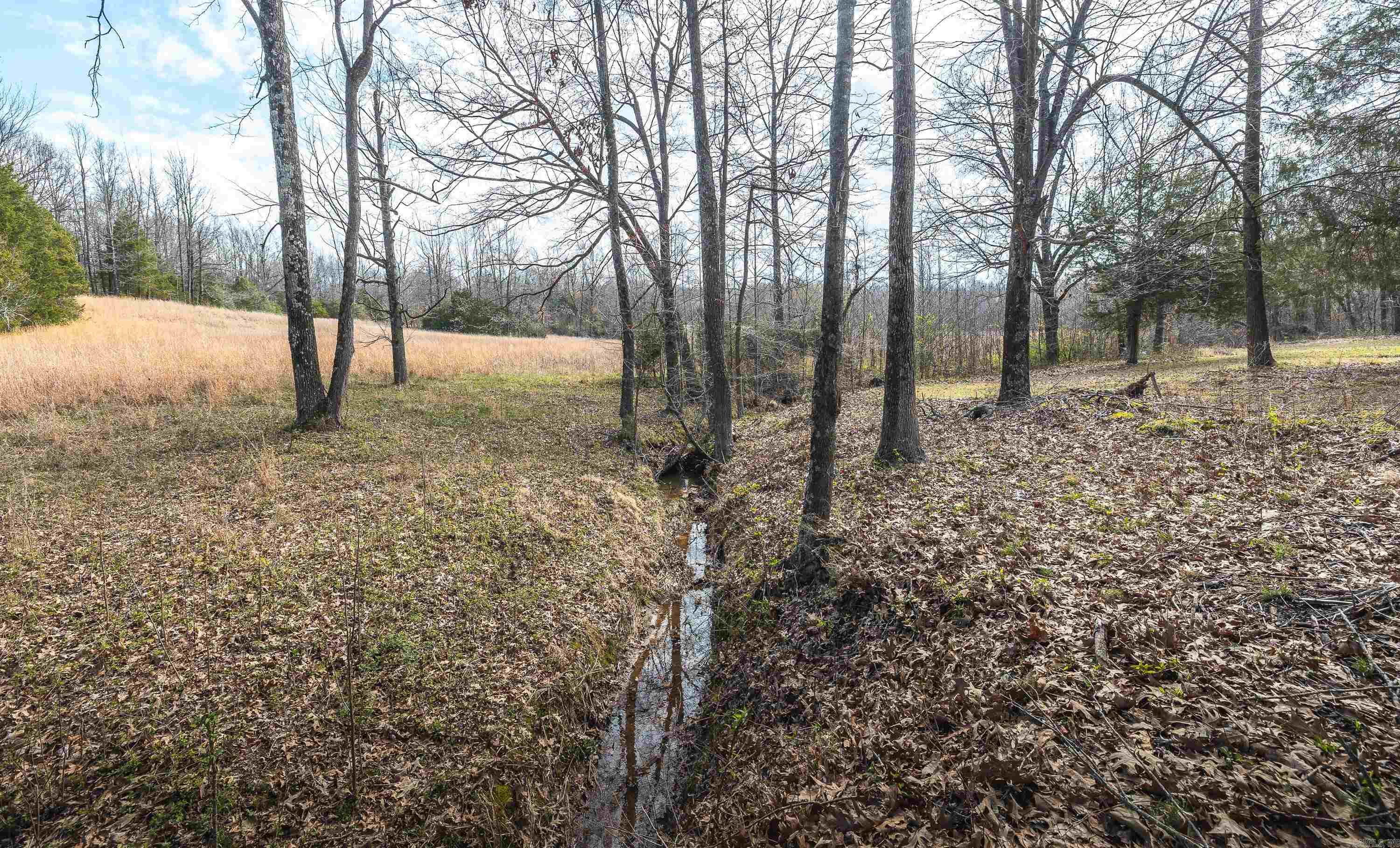 358 County Road 441 Property Photo 28