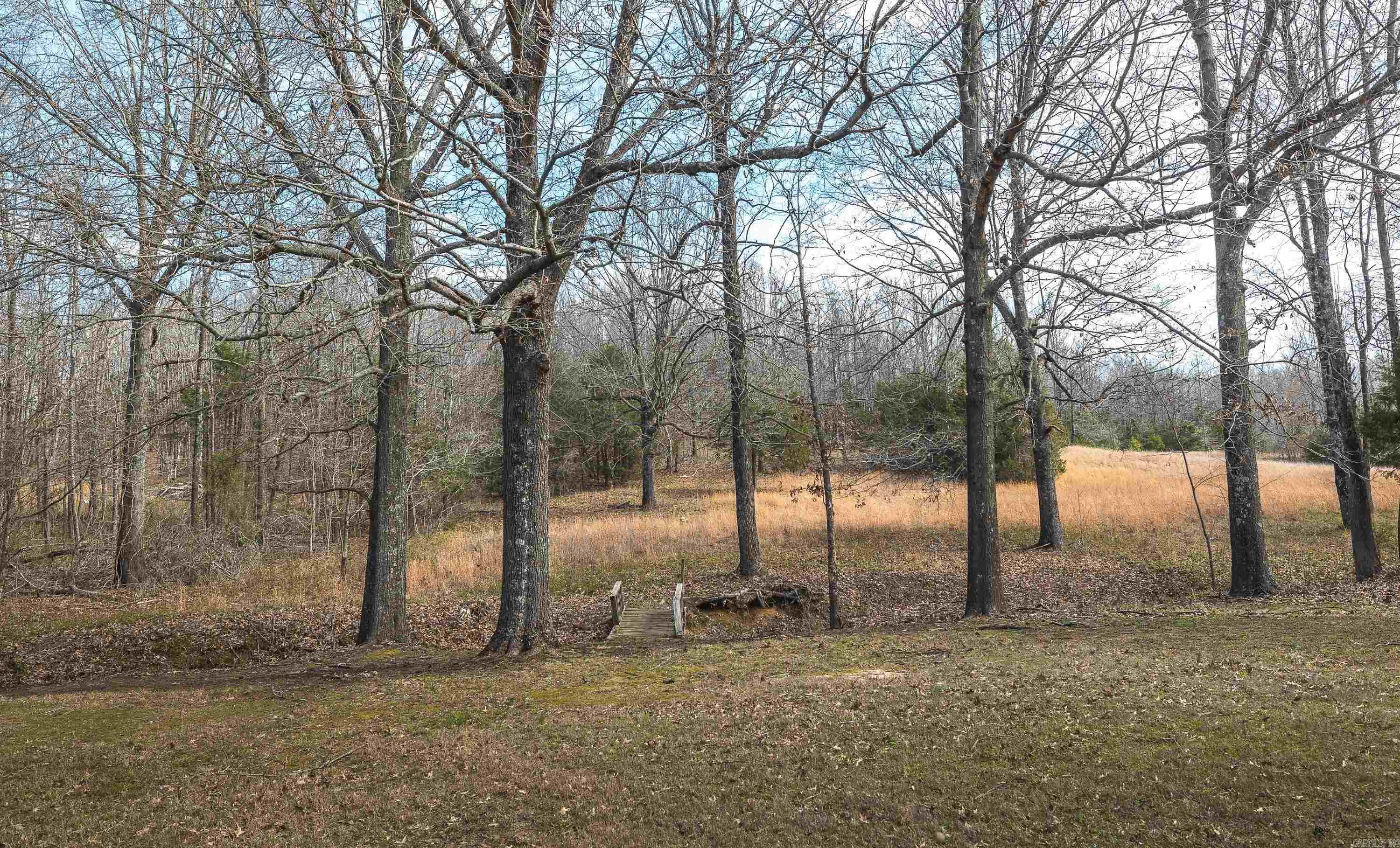 358 County Road 441 Property Photo 30