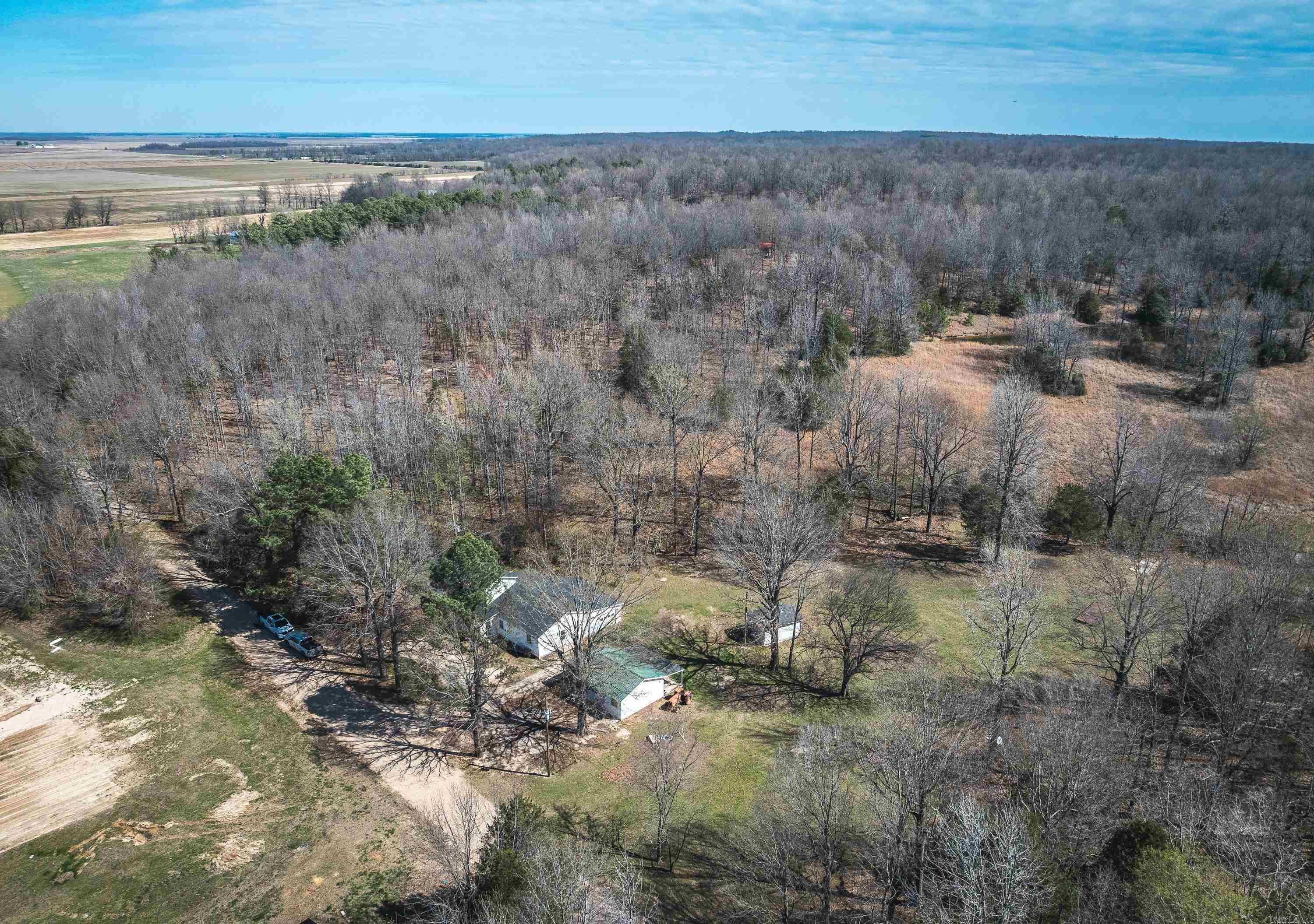 358 County Road 441 Property Photo 39