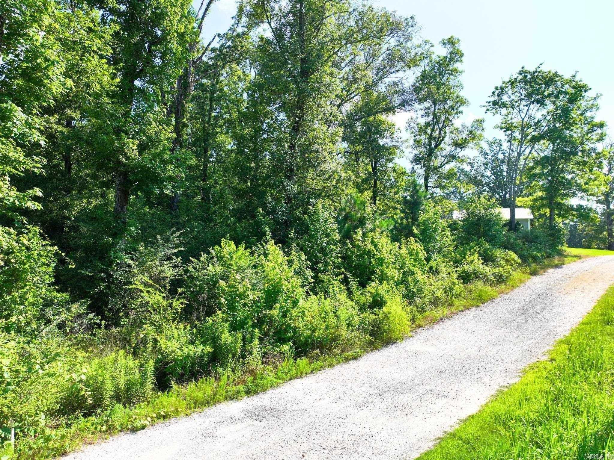 6973 Highway 7 Property Photo 39