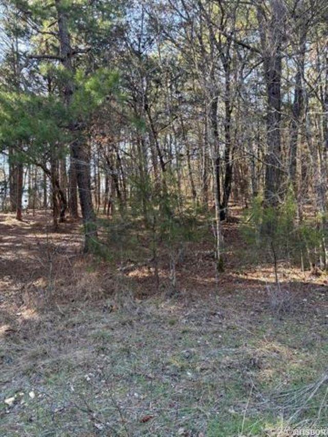 Tbd Pirate Drive Property Photo 1