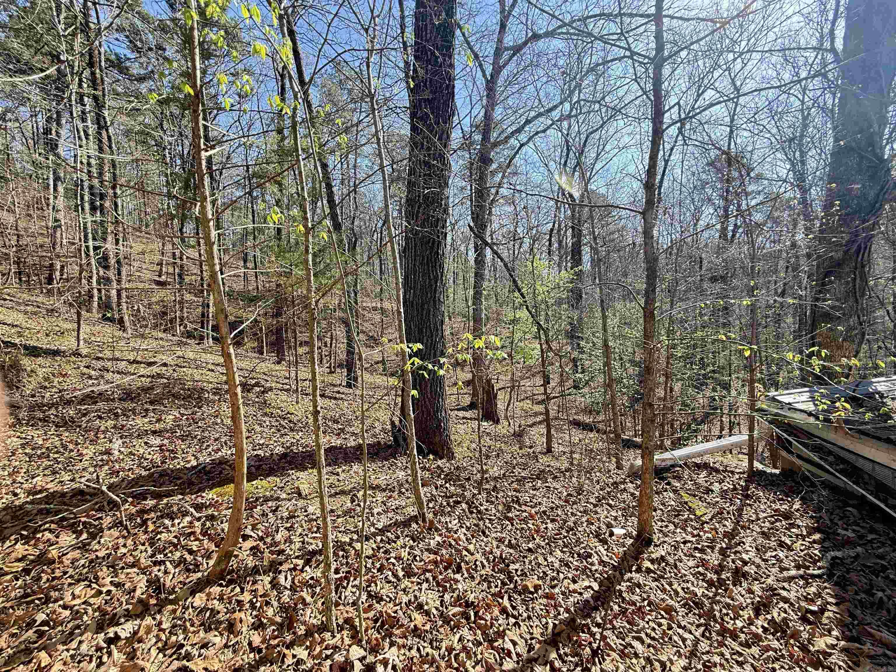 100 Acres Jones Valley Property Photo 1
