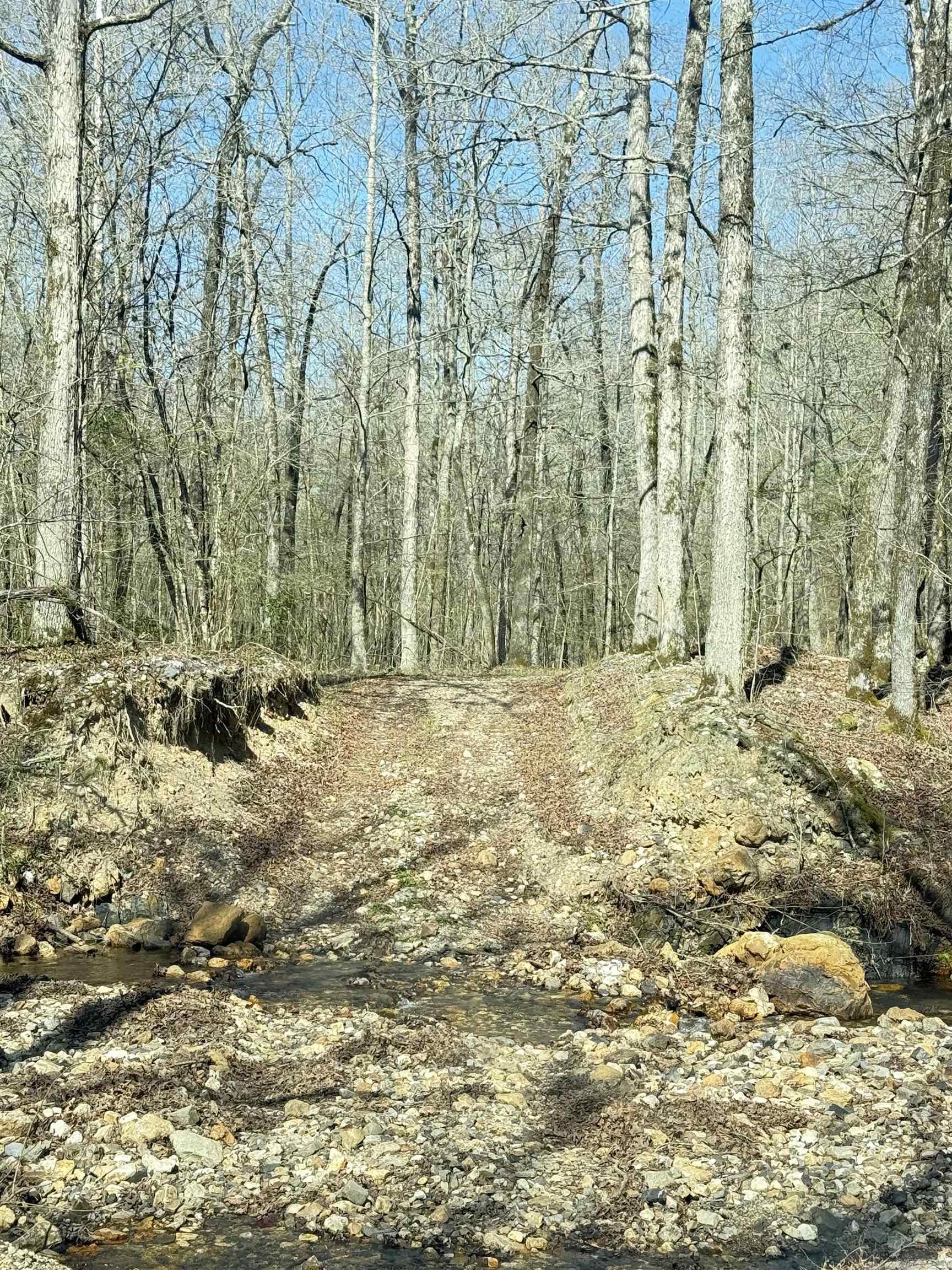 100 Acres Jones Valley Property Photo 4