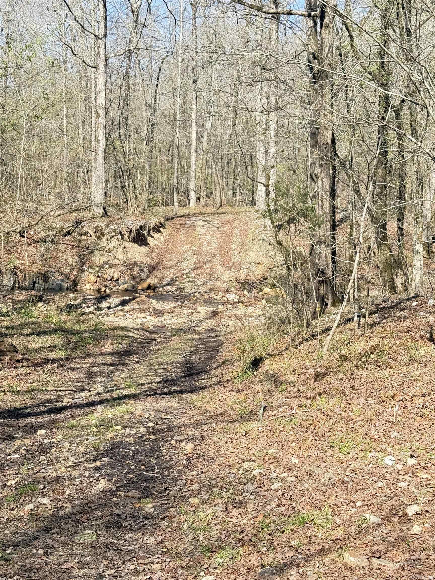 100 Acres Jones Valley Property Photo 6