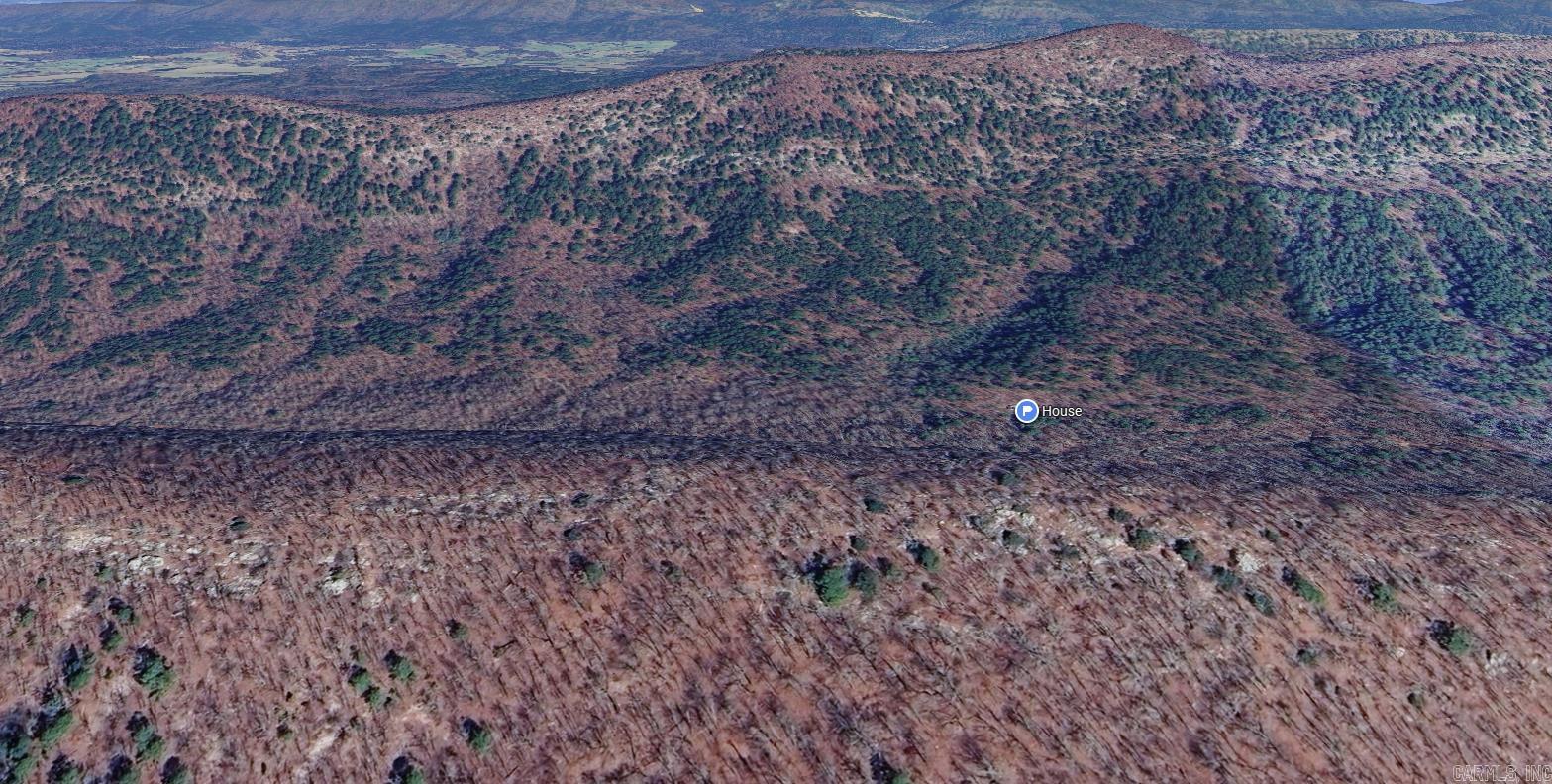 100 Acres Jones Valley Property Photo 8