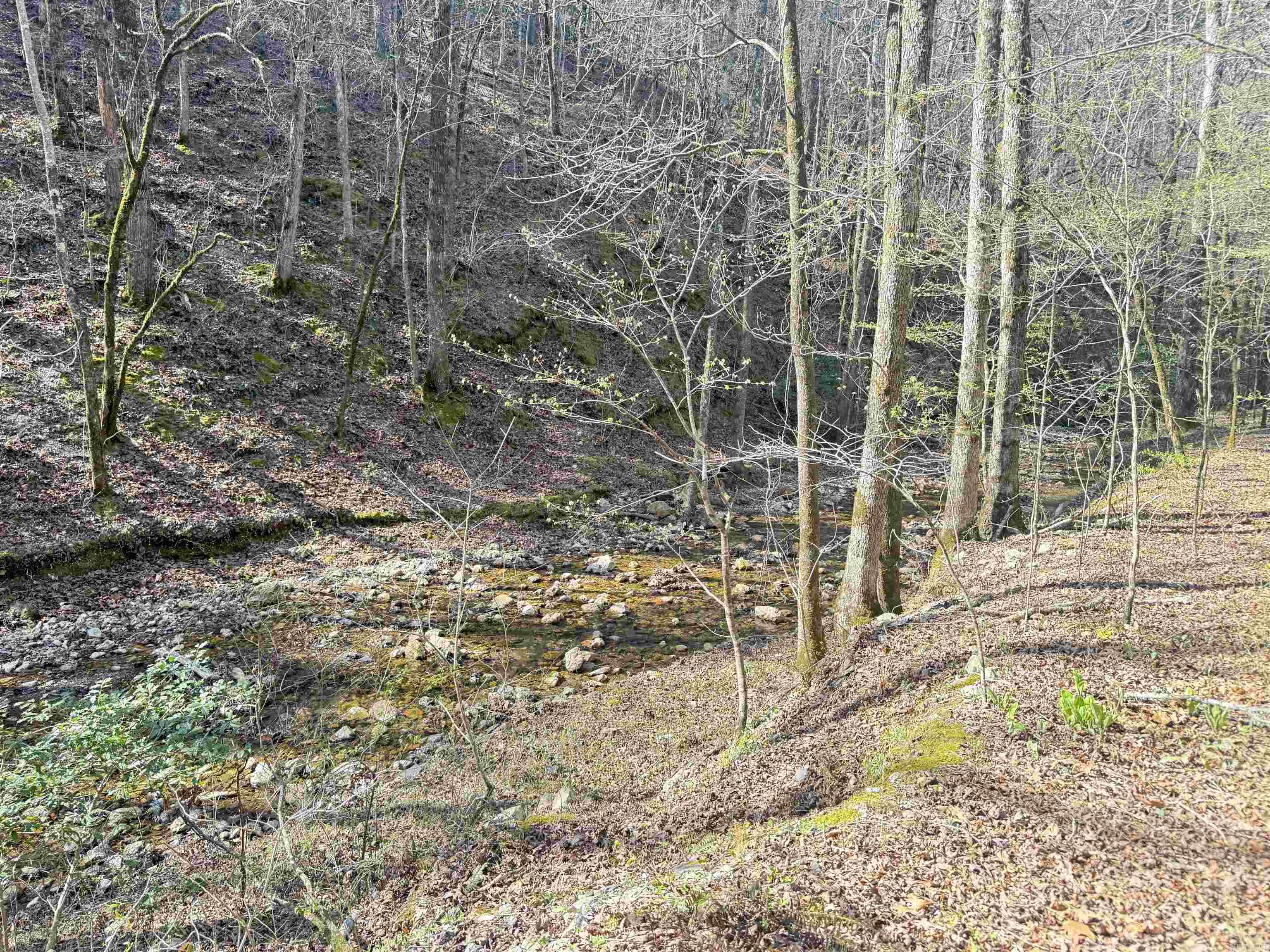100 Acres Jones Valley Property Photo 9