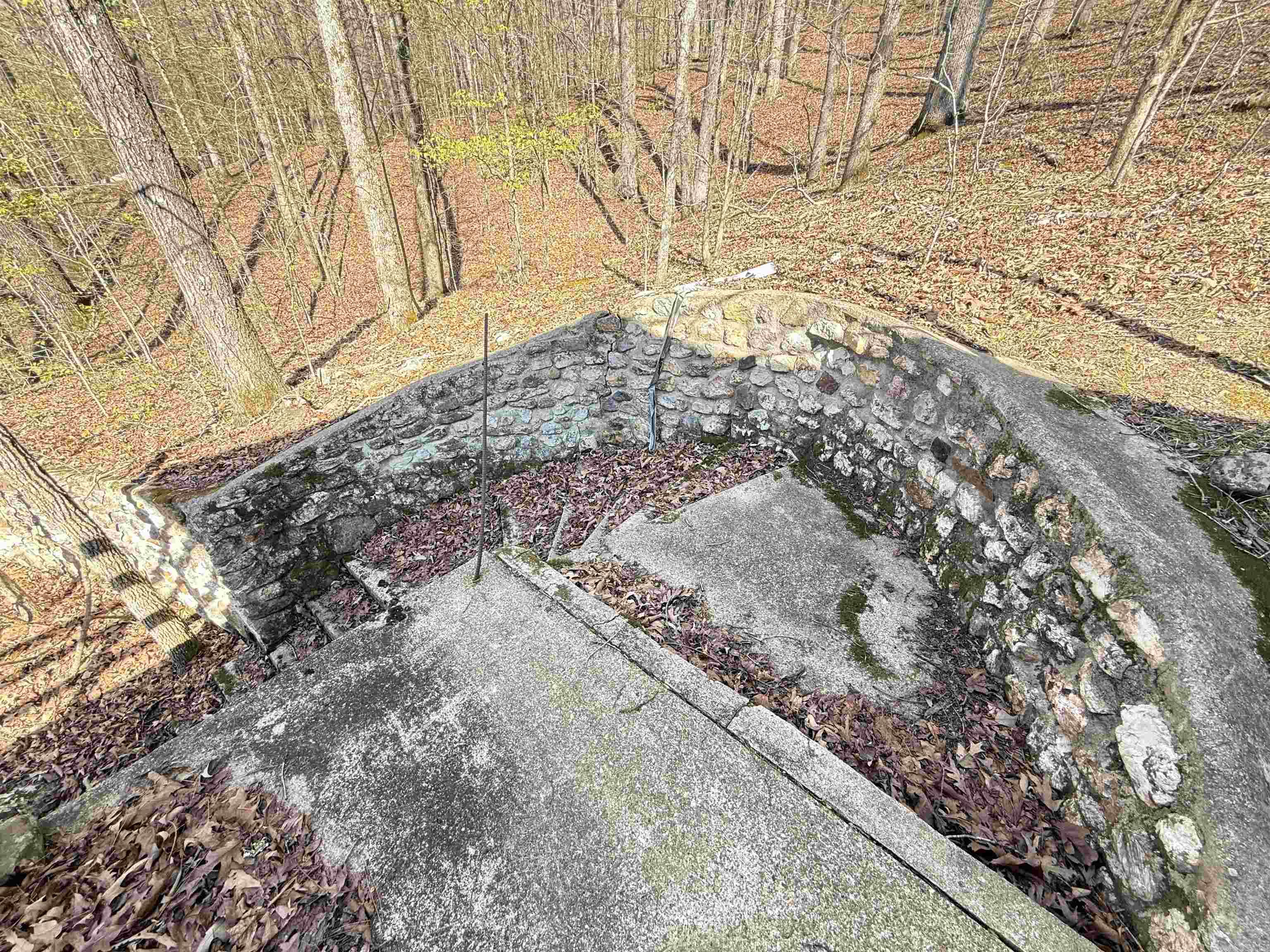 100 Acres Jones Valley Property Photo 17