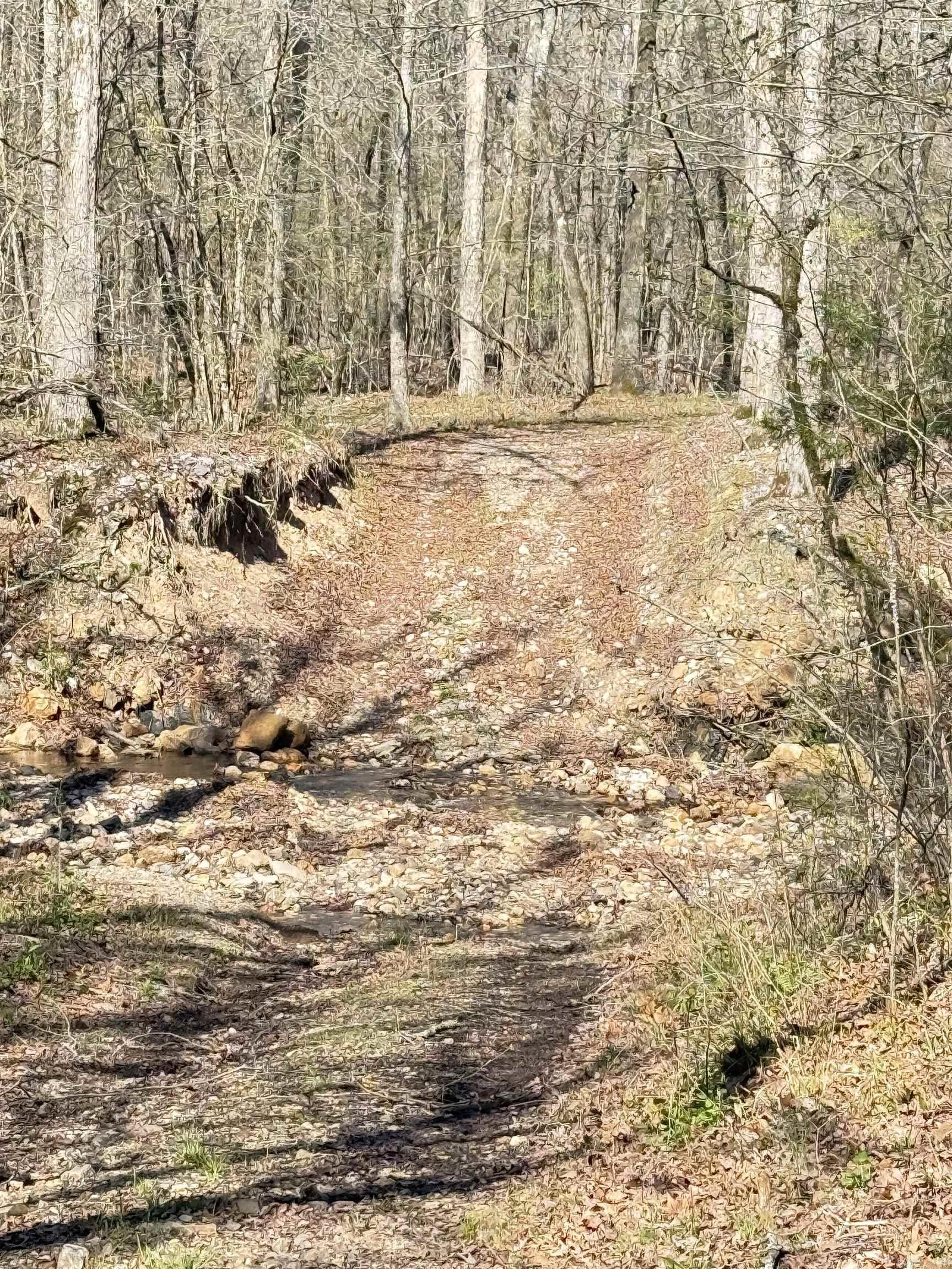 100 Acres Jones Valley Property Photo 18