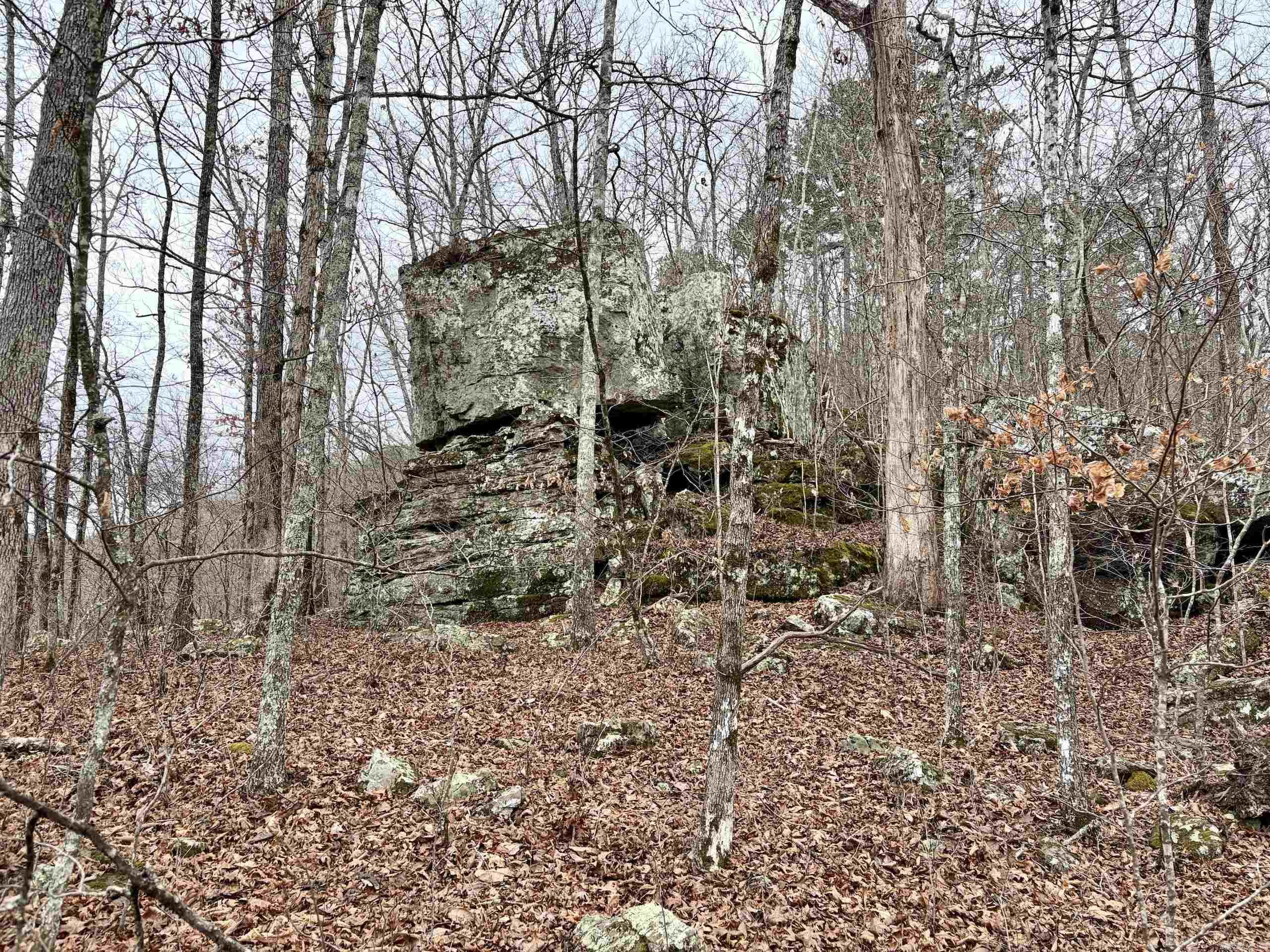 000 Watson Rd Property Photo 5