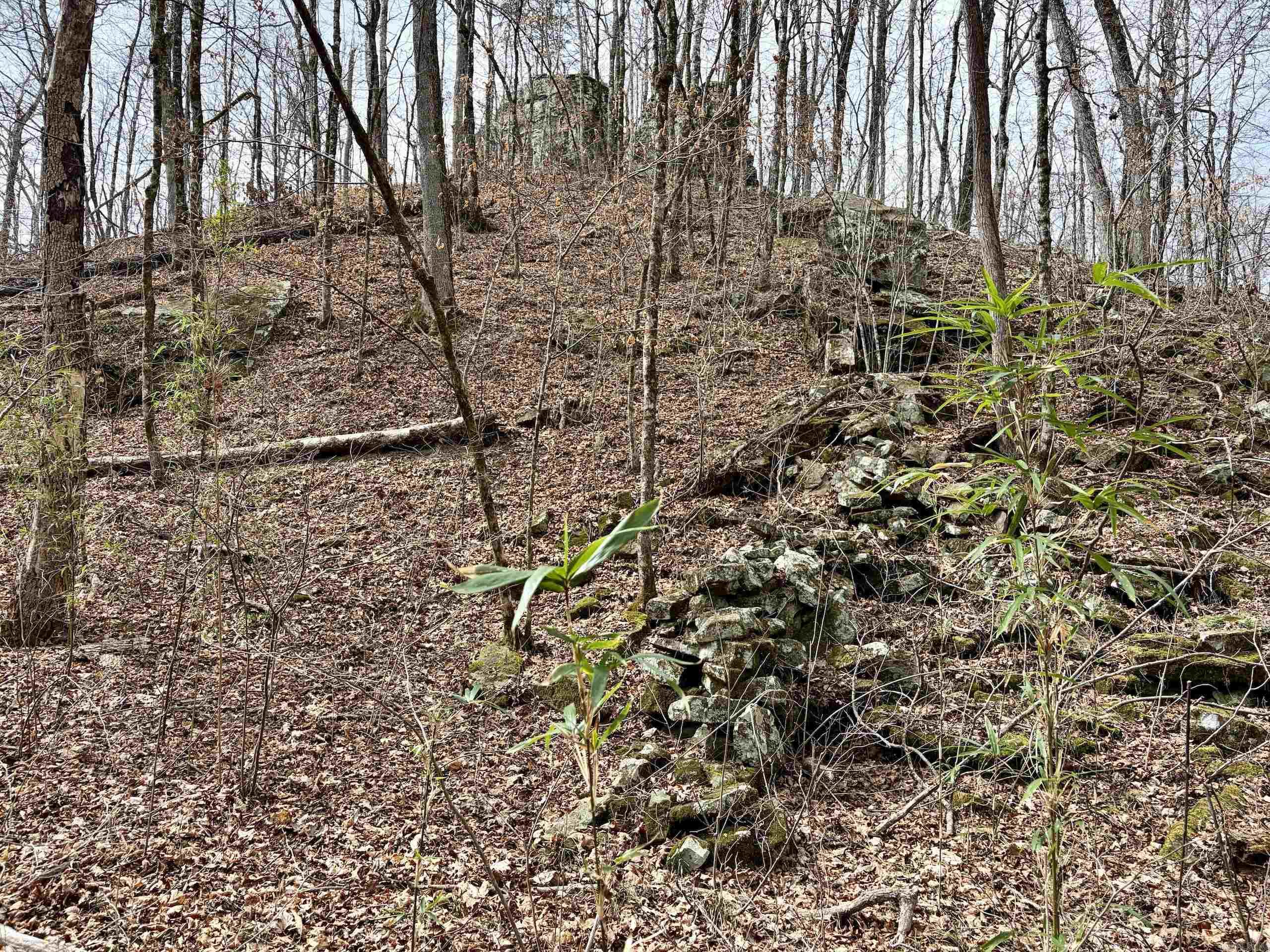 000 Watson Rd Property Photo 10