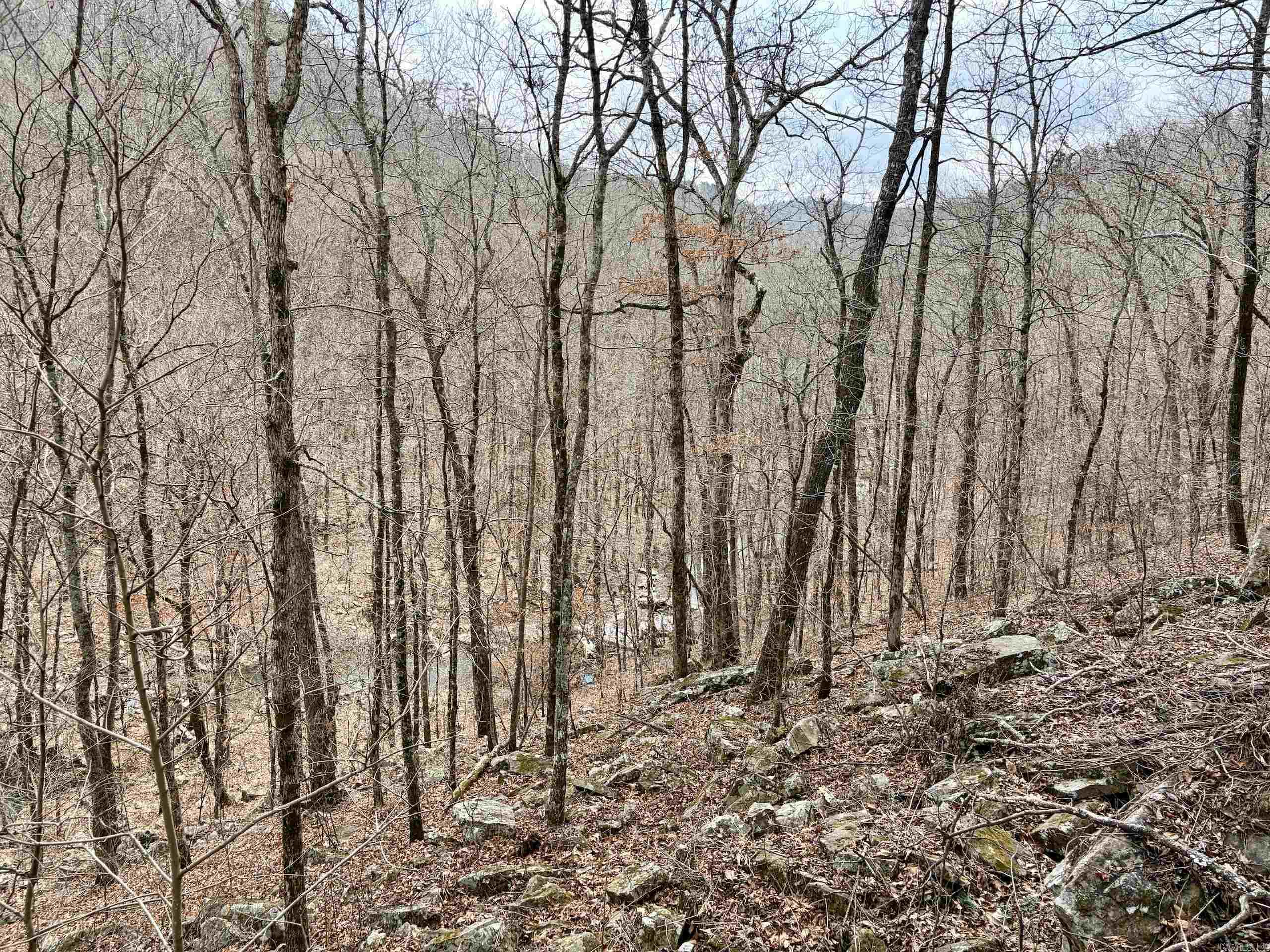 000 Watson Rd Property Photo 14