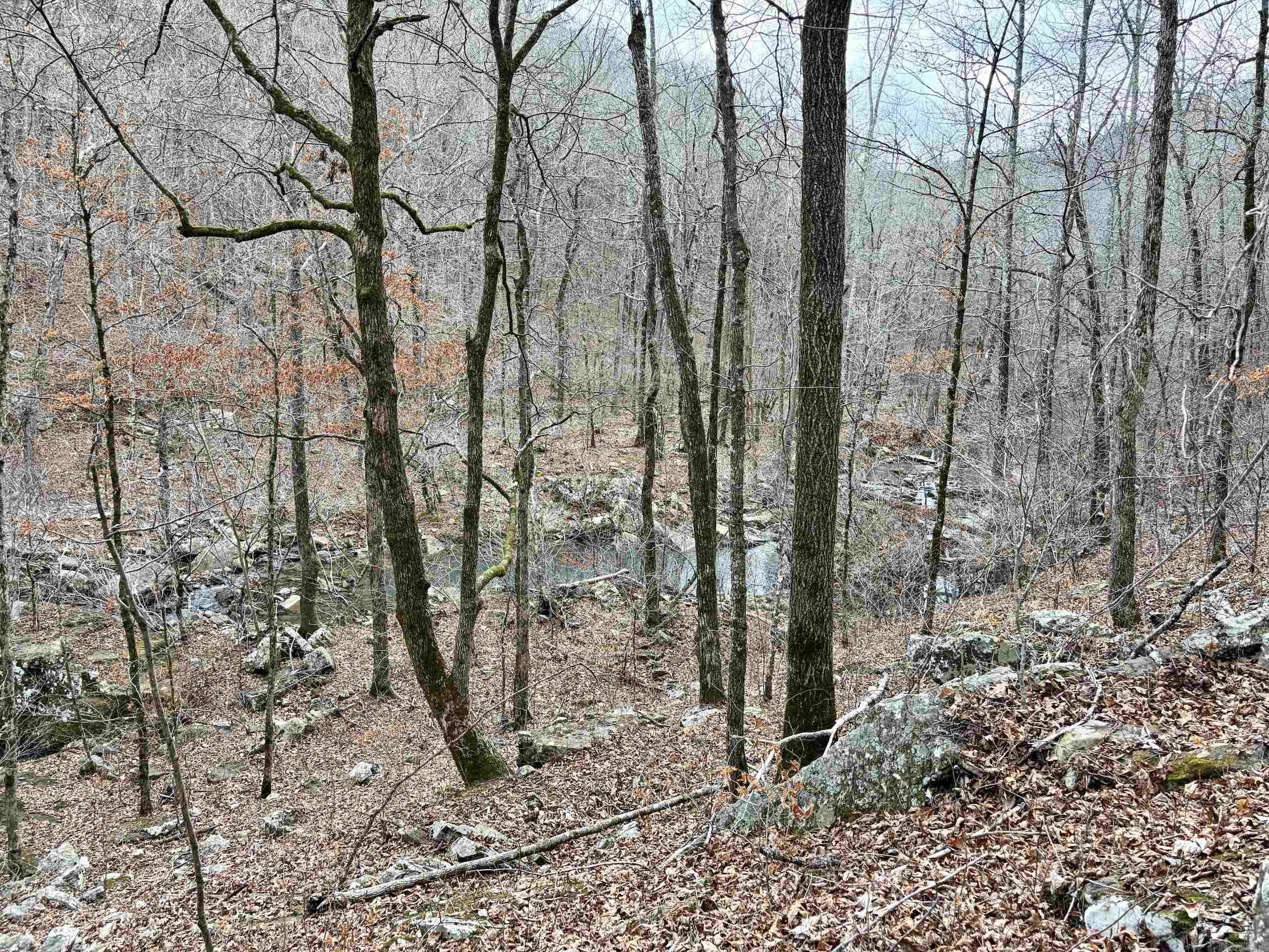 000 Watson Rd Property Photo 15