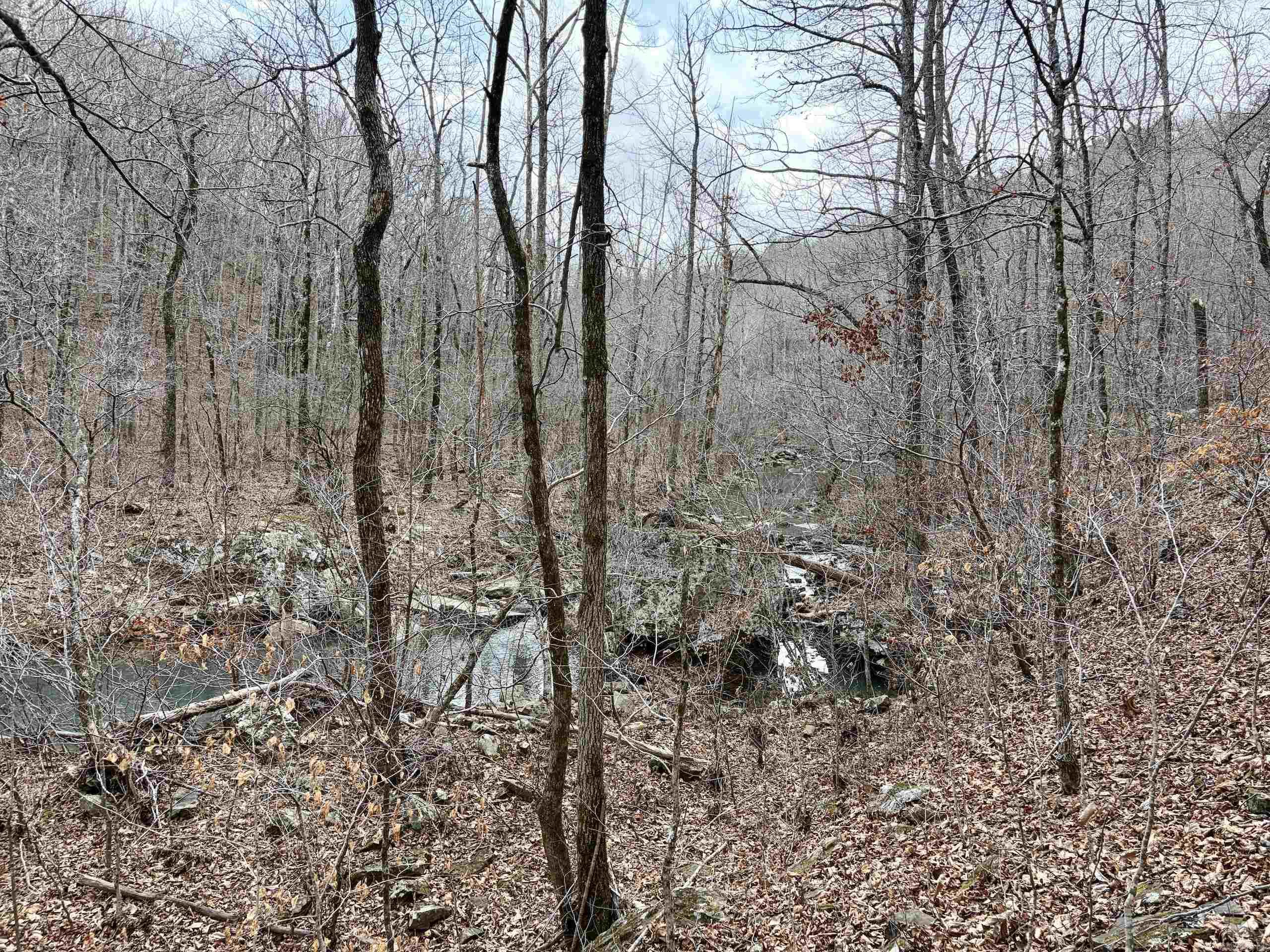 000 Watson Rd Property Photo 17