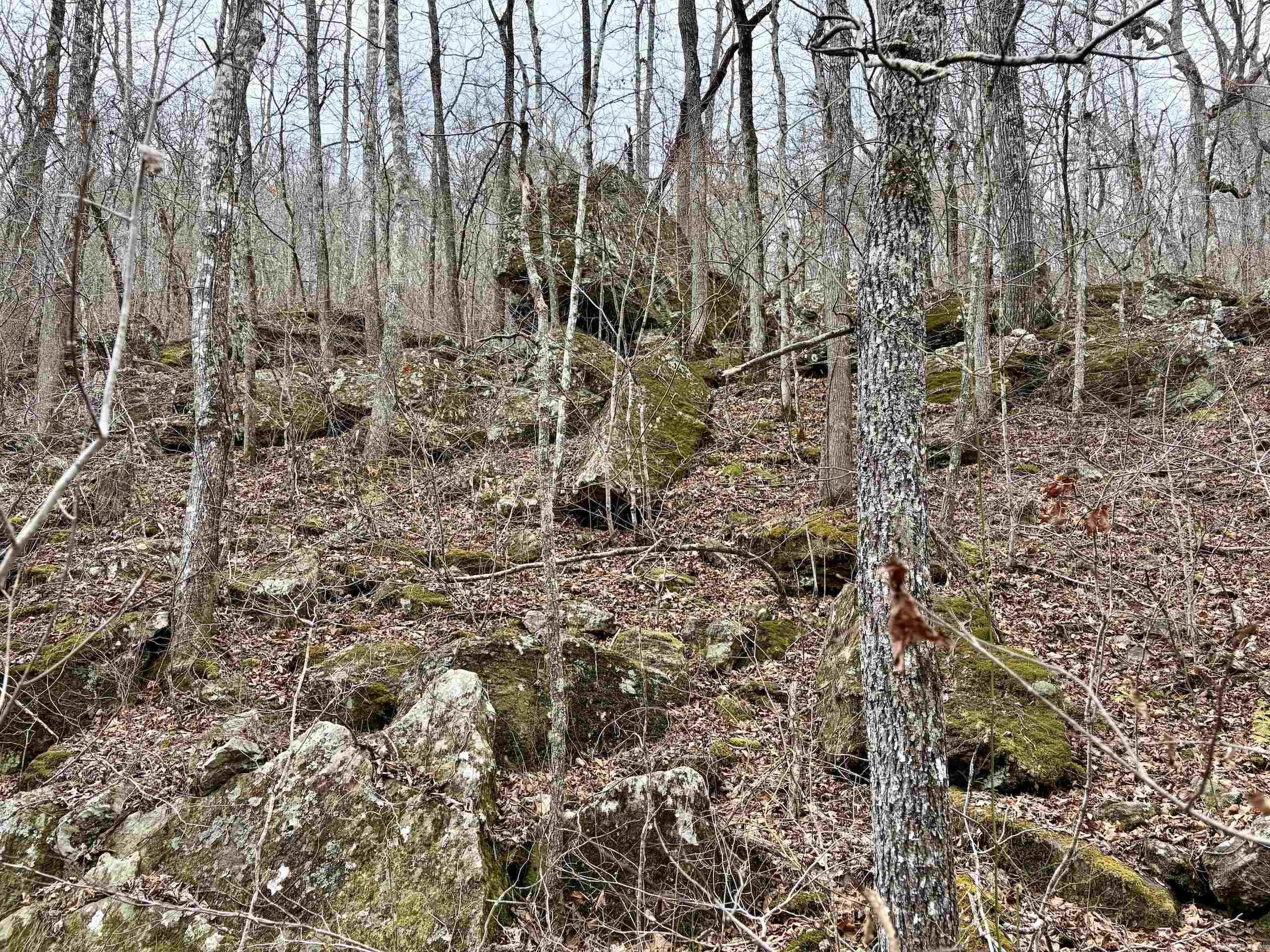 000 Watson Rd Property Photo 25