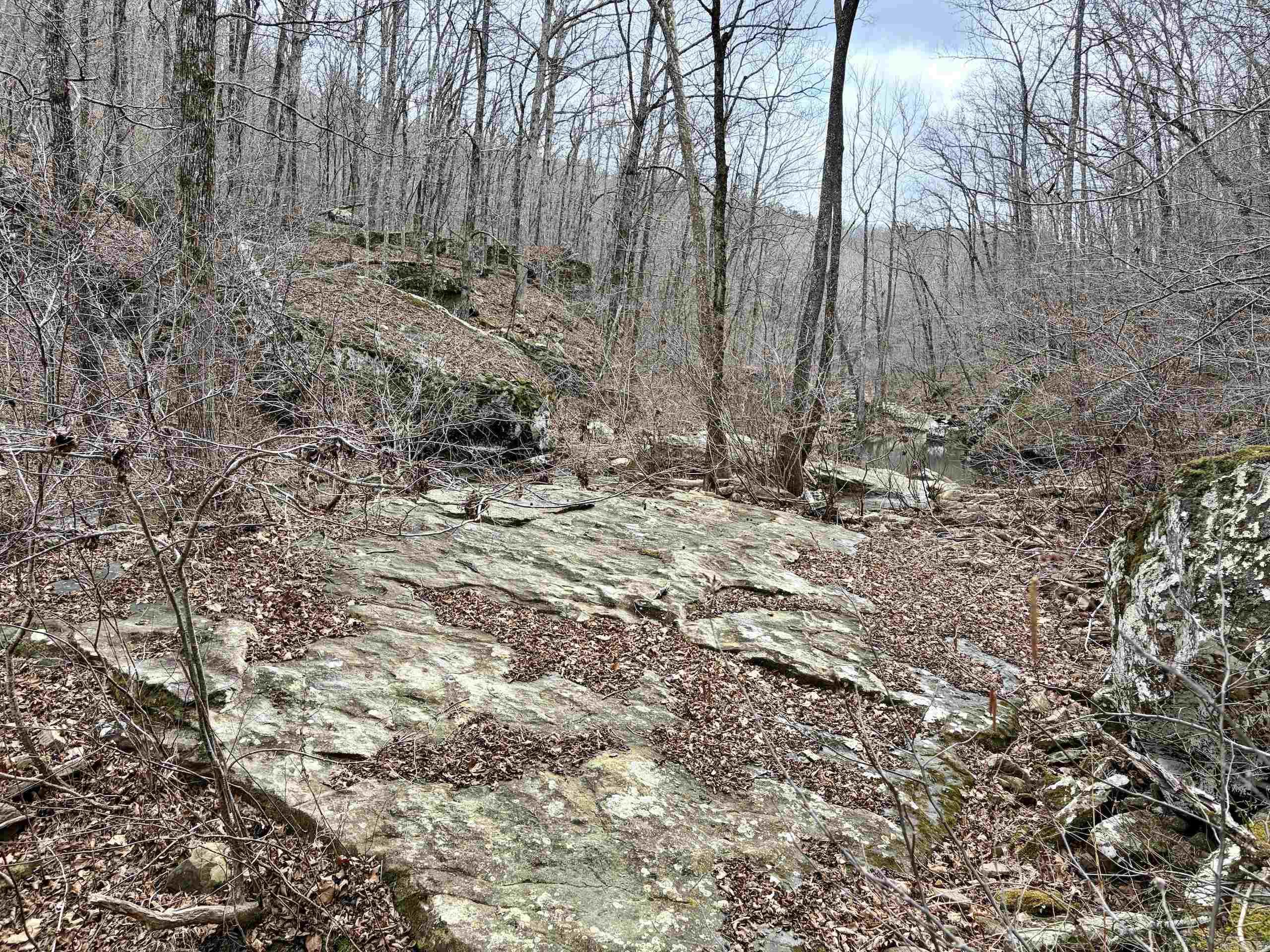 000 Watson Rd Property Photo 27