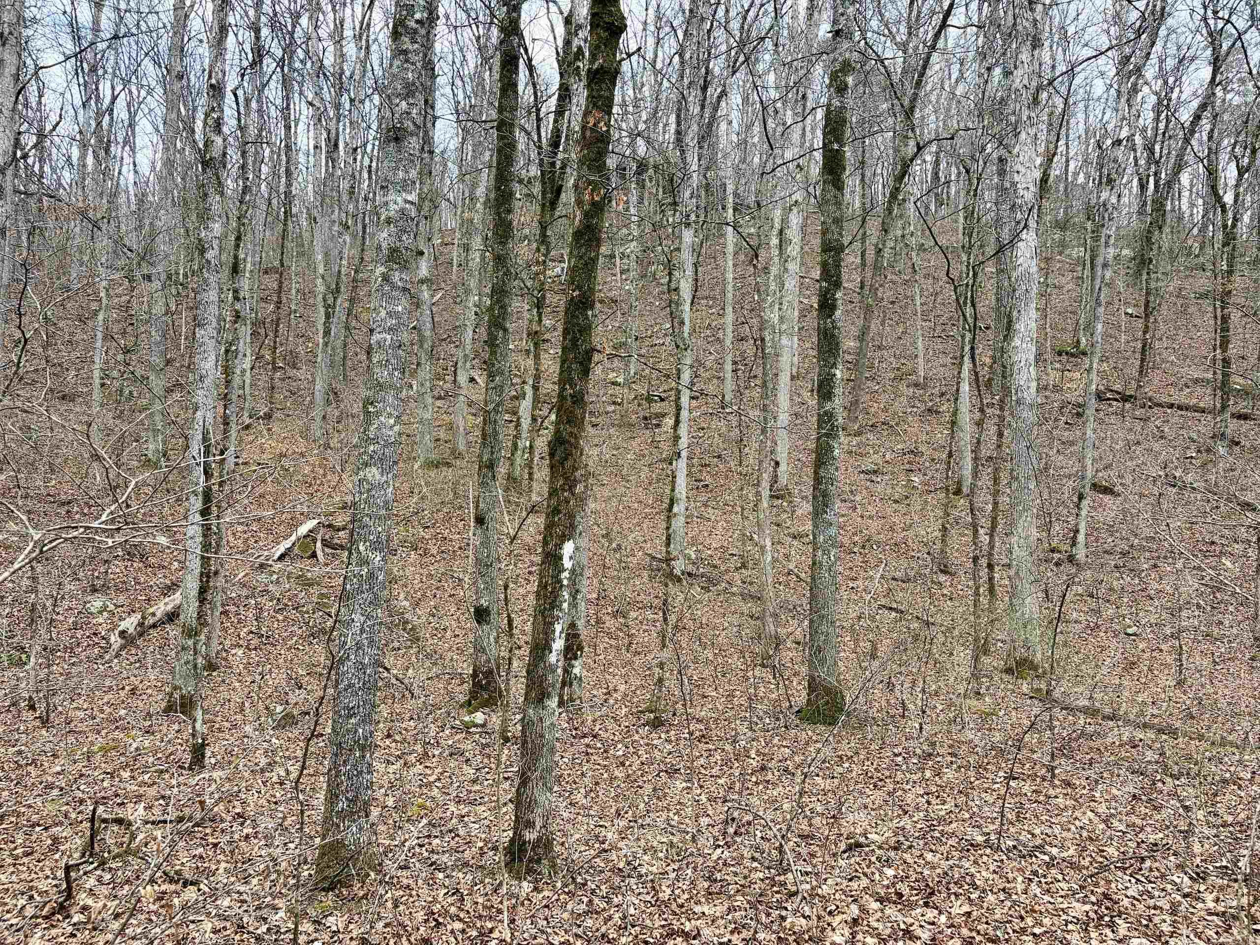 000 Watson Rd Property Photo 32