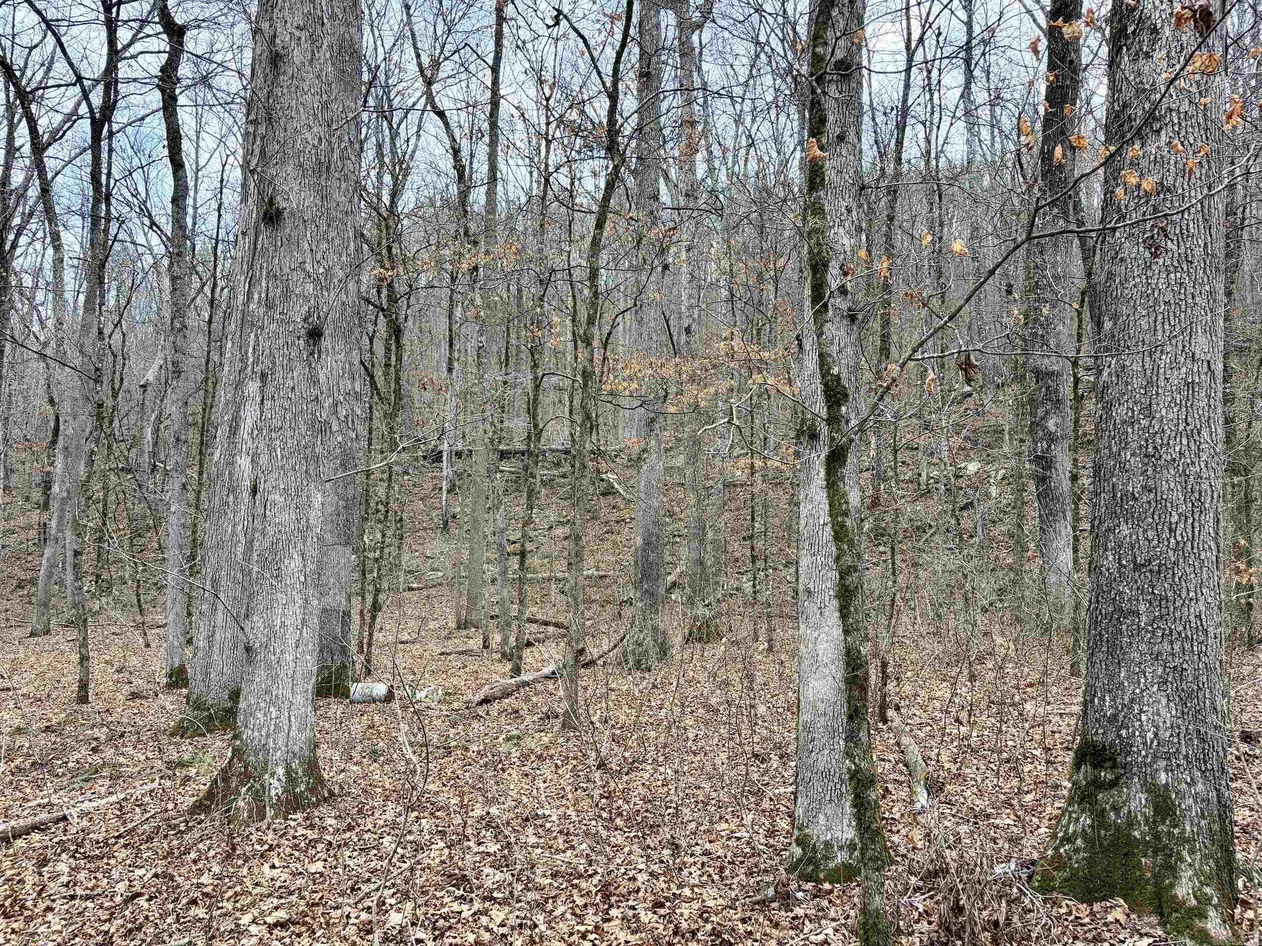 000 Watson Rd Property Photo 36