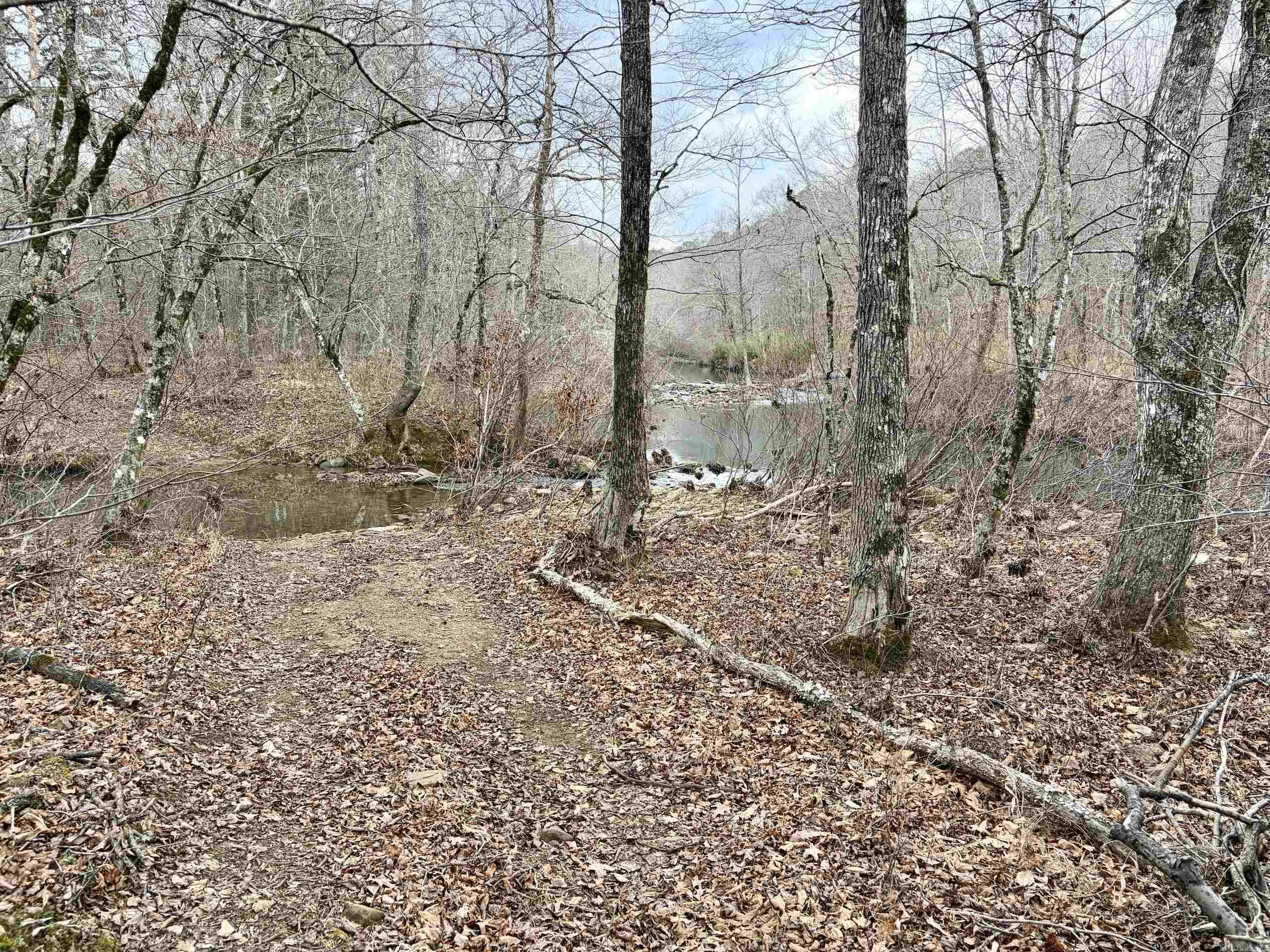 000 Watson Rd Property Photo 39