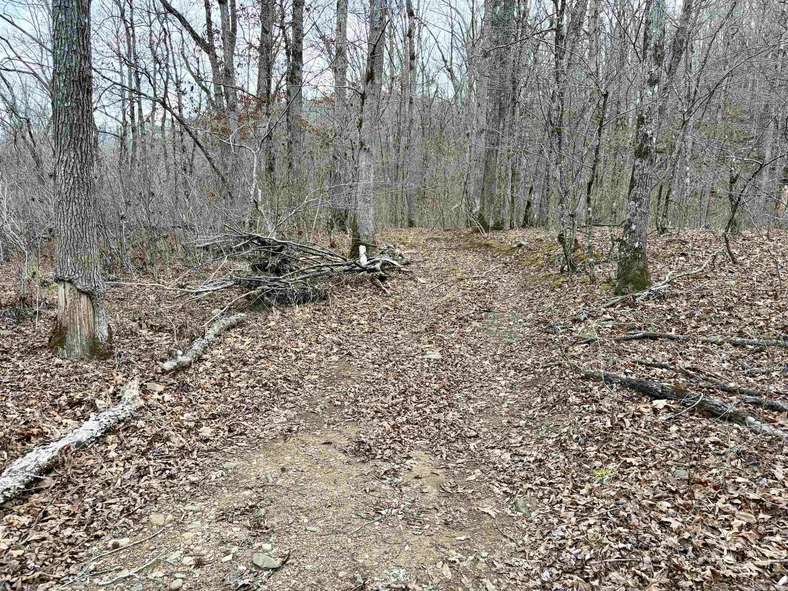 000 Watson Rd Property Photo 43