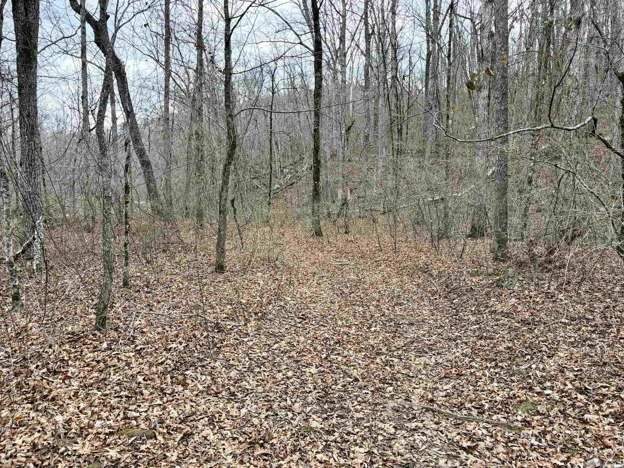 000 Watson Rd Property Photo 45