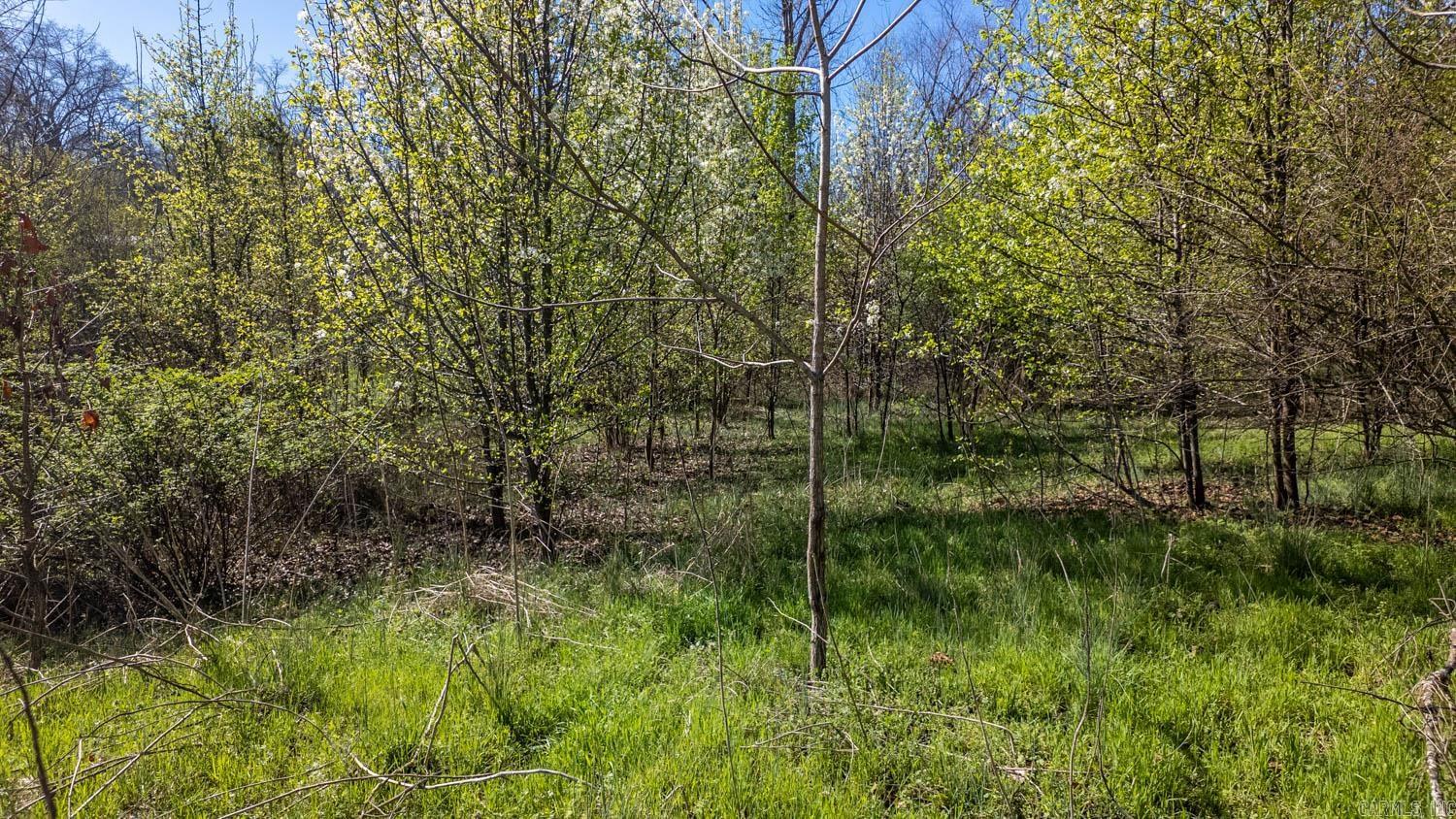 000 Main Street Property Photo 10
