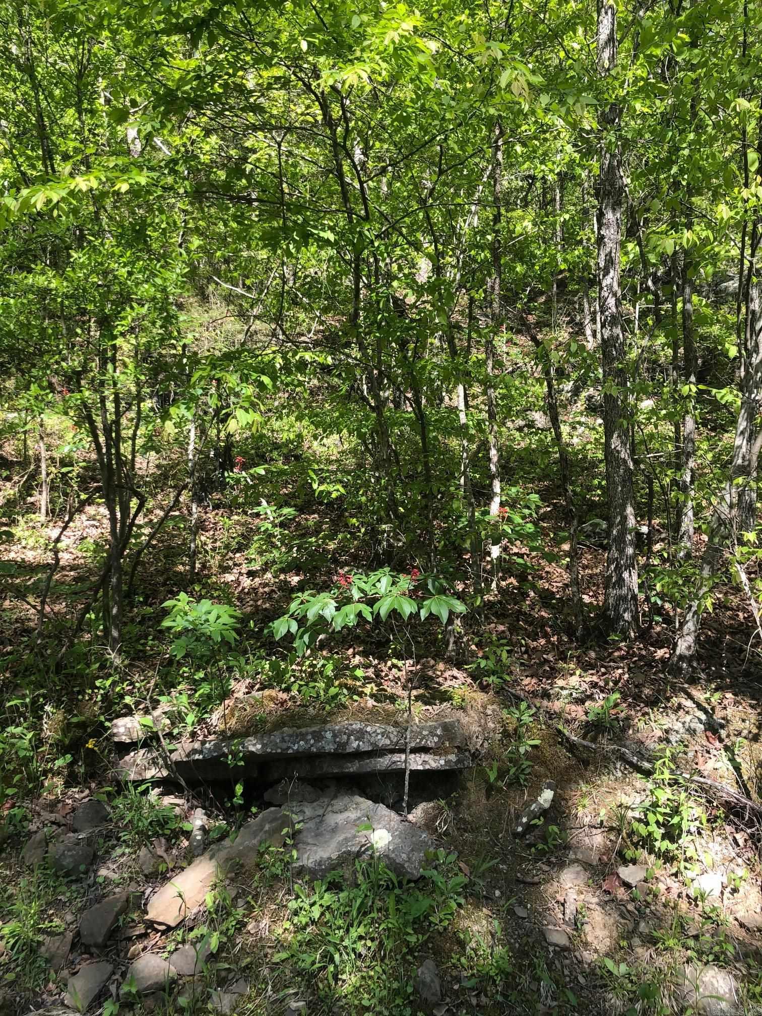 Tract 14 Weldon Rd. Property Photo 3