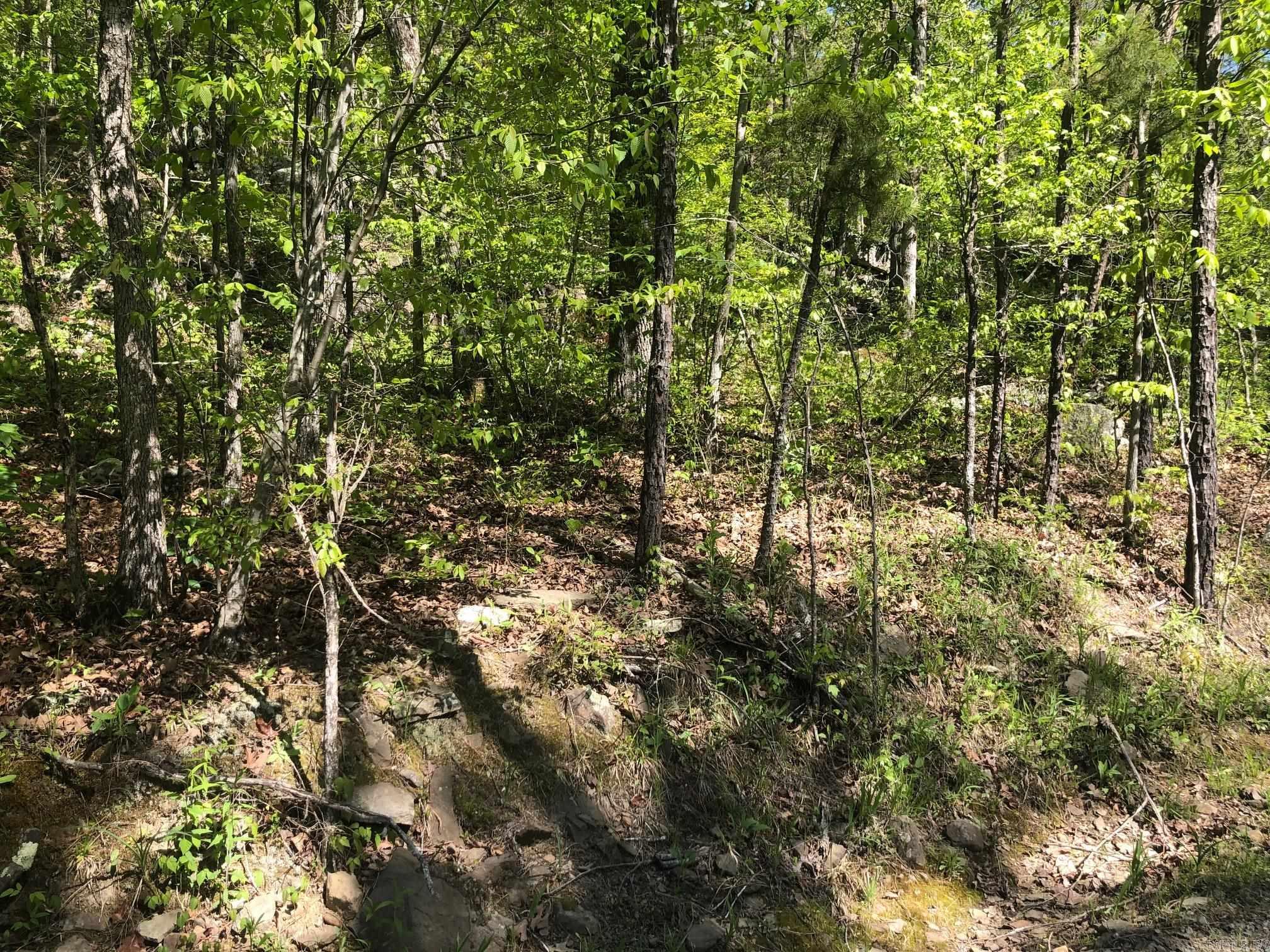 Tract 14 Weldon Rd. Property Photo 5