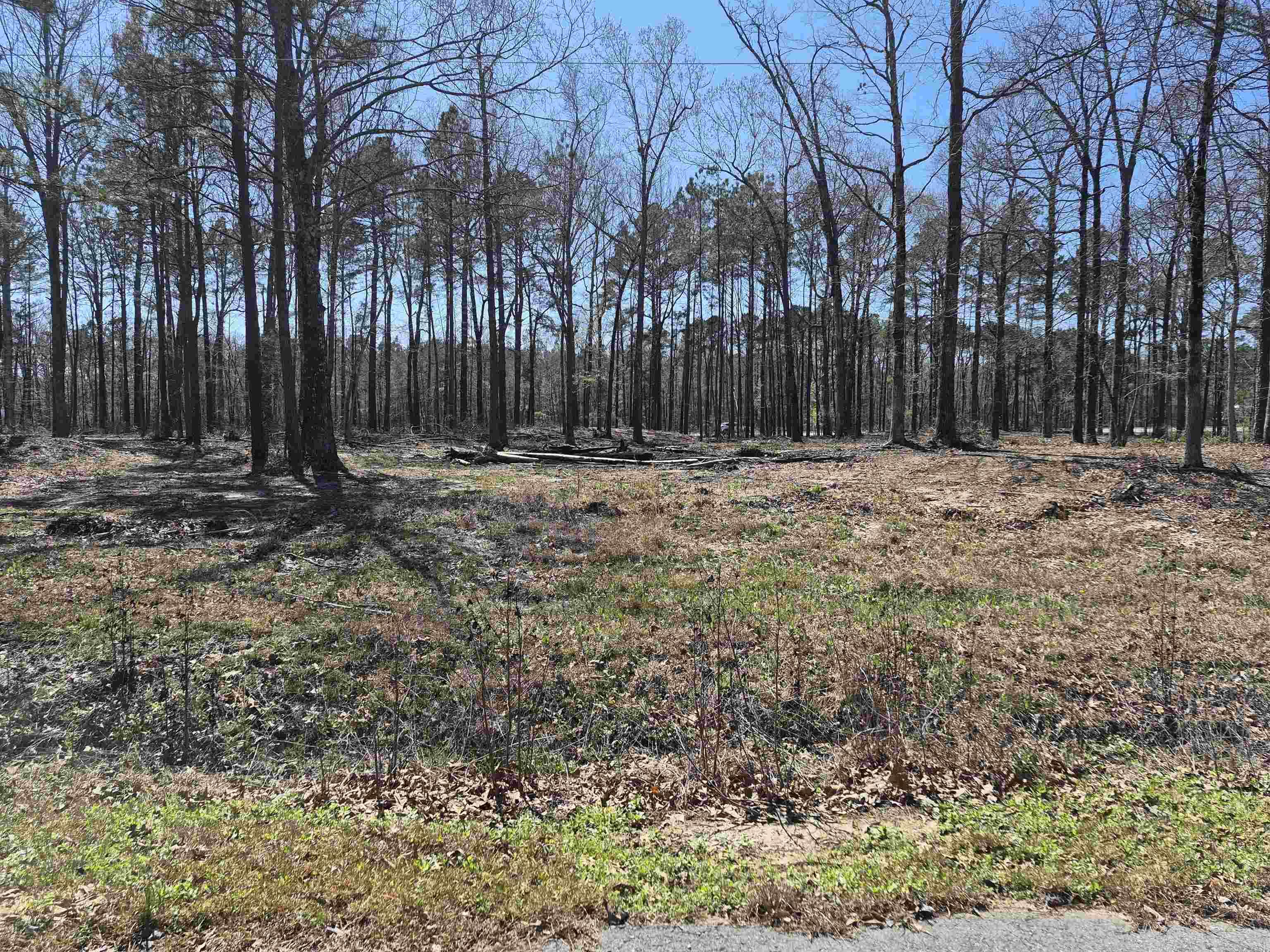 Tract 2 Tbd Lanni Lane Property Photo 1