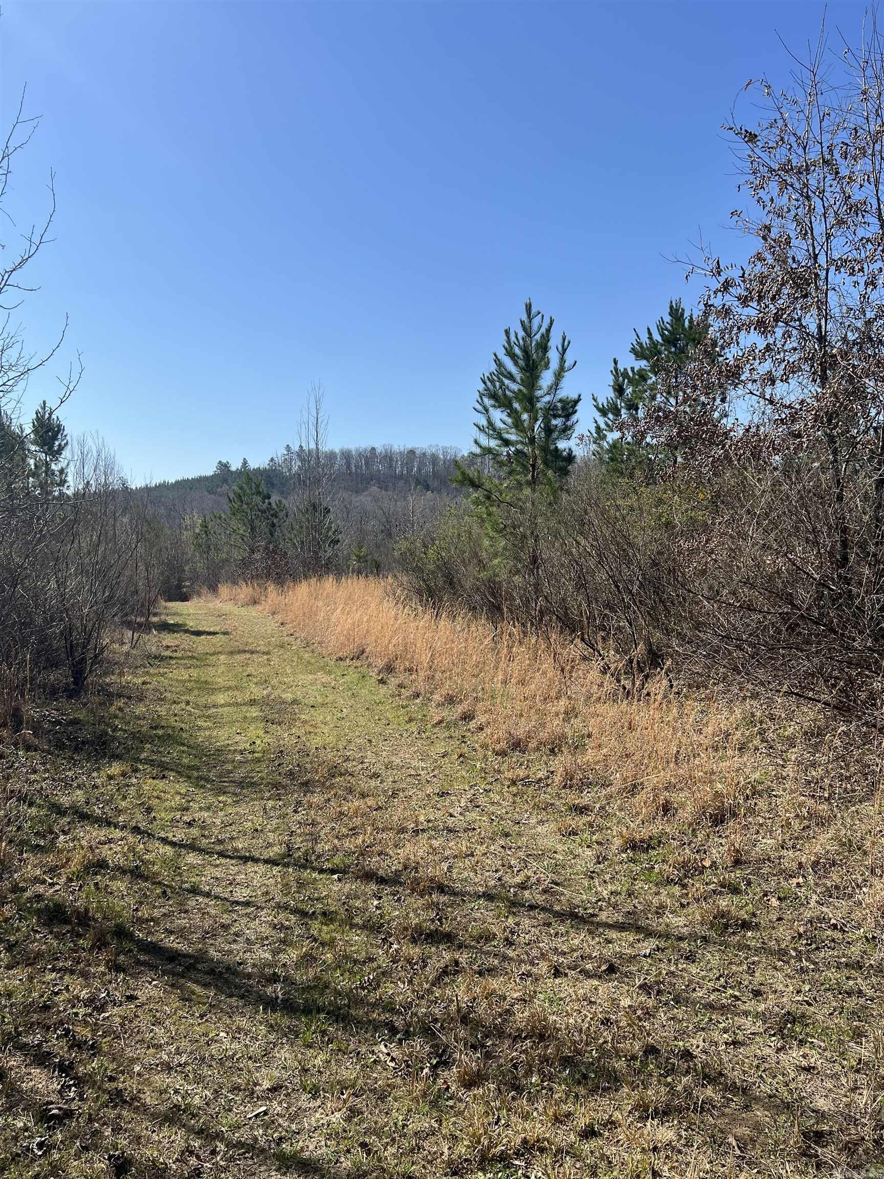 Xx John Ashley Property Photo 1