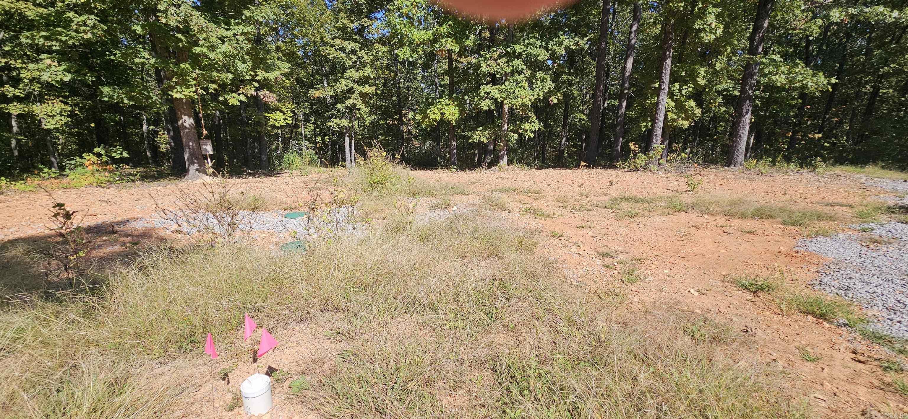 229 Elmbrook Lane Property Photo 8